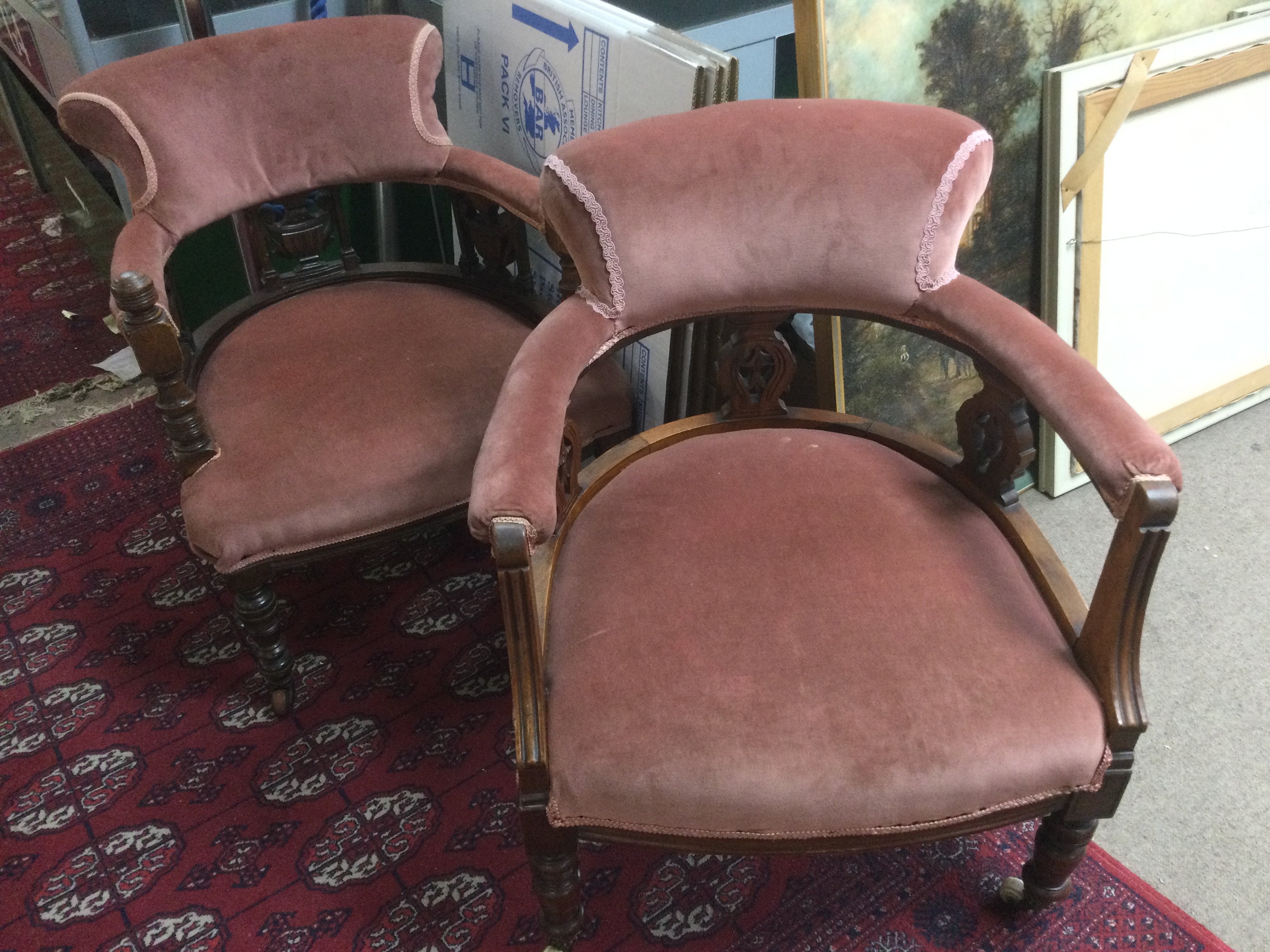 A pair of Edwardian carved walnut and upholstered tub chairs. Shipping category D.
