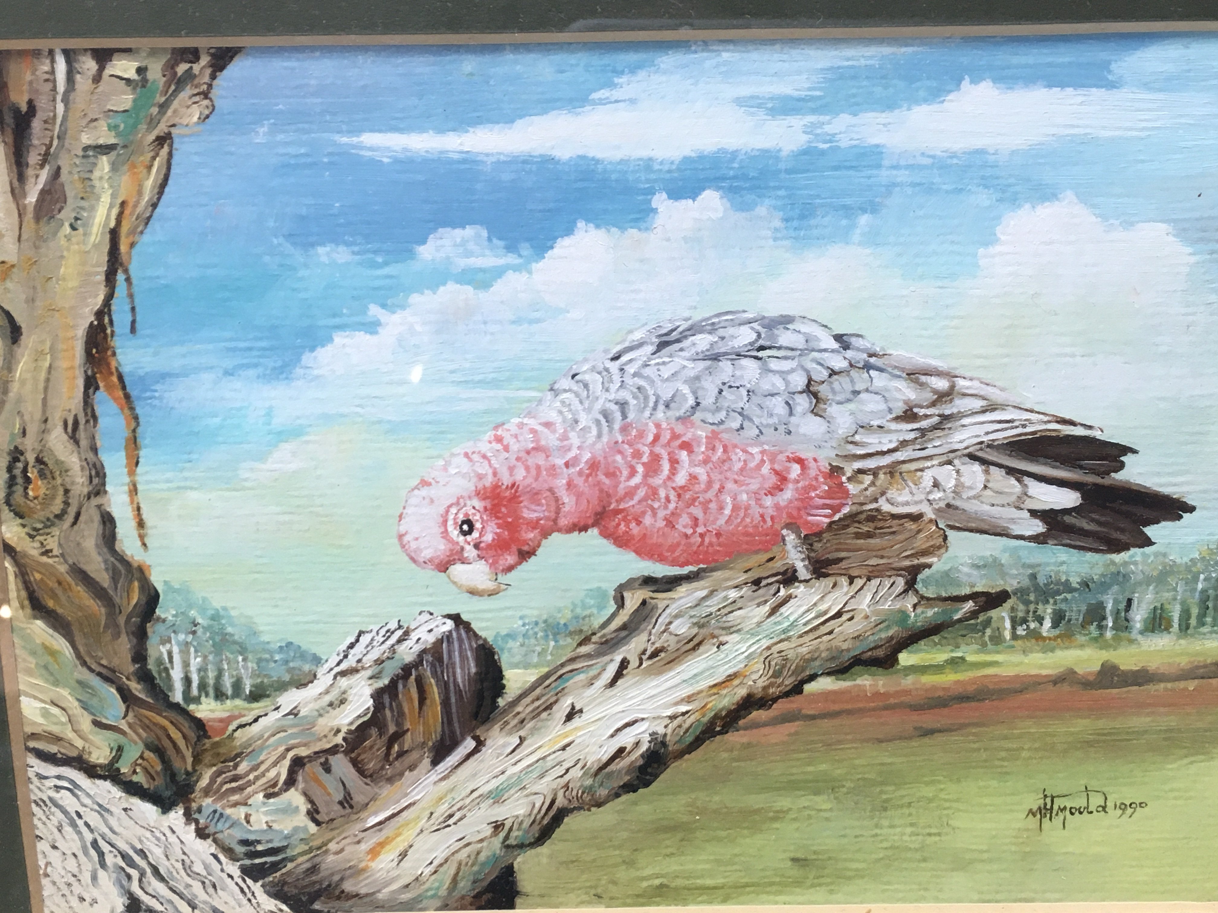 A collection of late 20th century framed watercolours of various birds including Cranes , Galah Cockatoo, Kingfisher signed M.H Yould 1990. Frame sizes 38x33cm. NO RESERVE