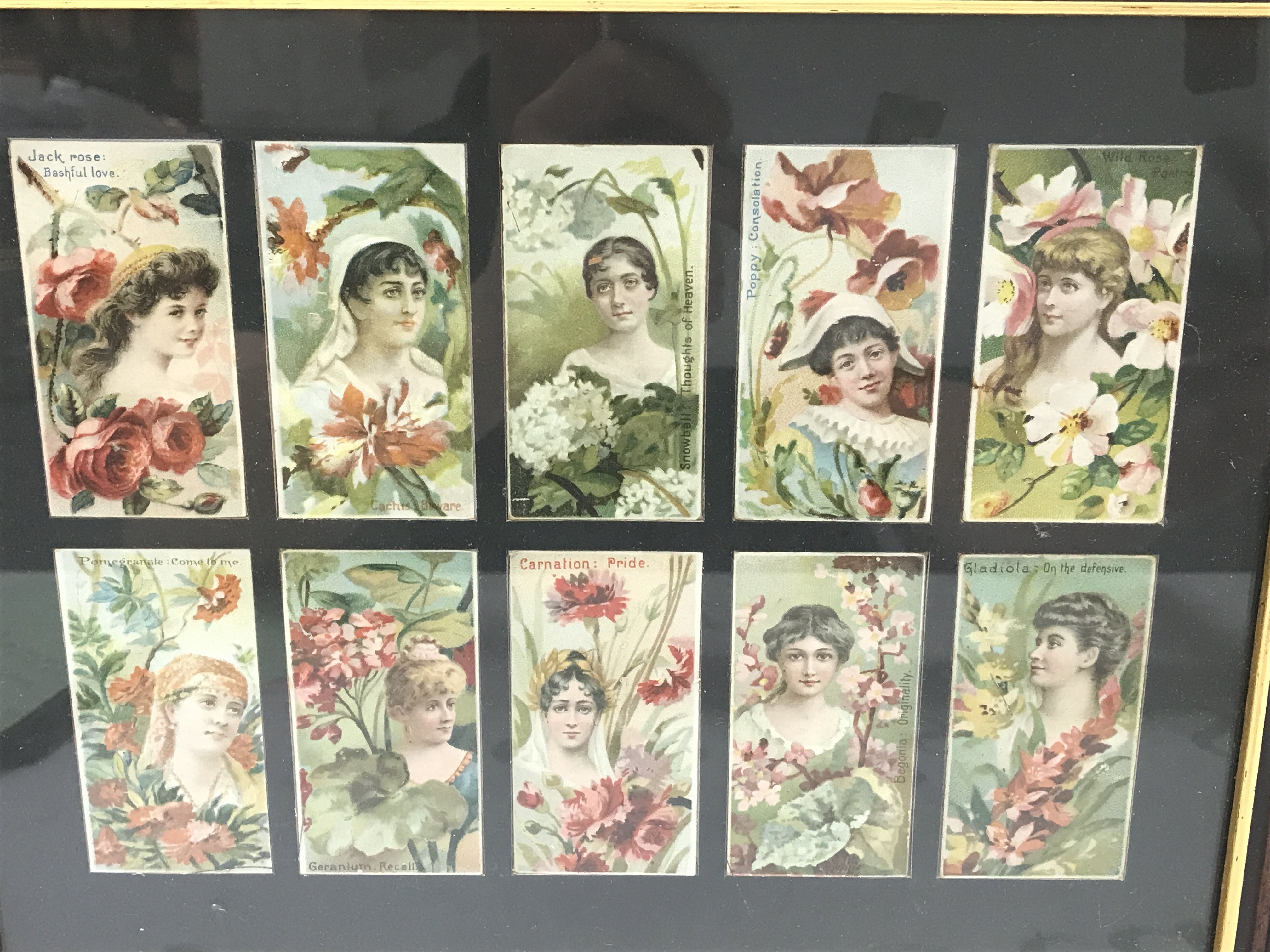 Two framed sets of Floral beauties Dukes Cigarettes cards. This lot cannot be posted. NO RESERVE