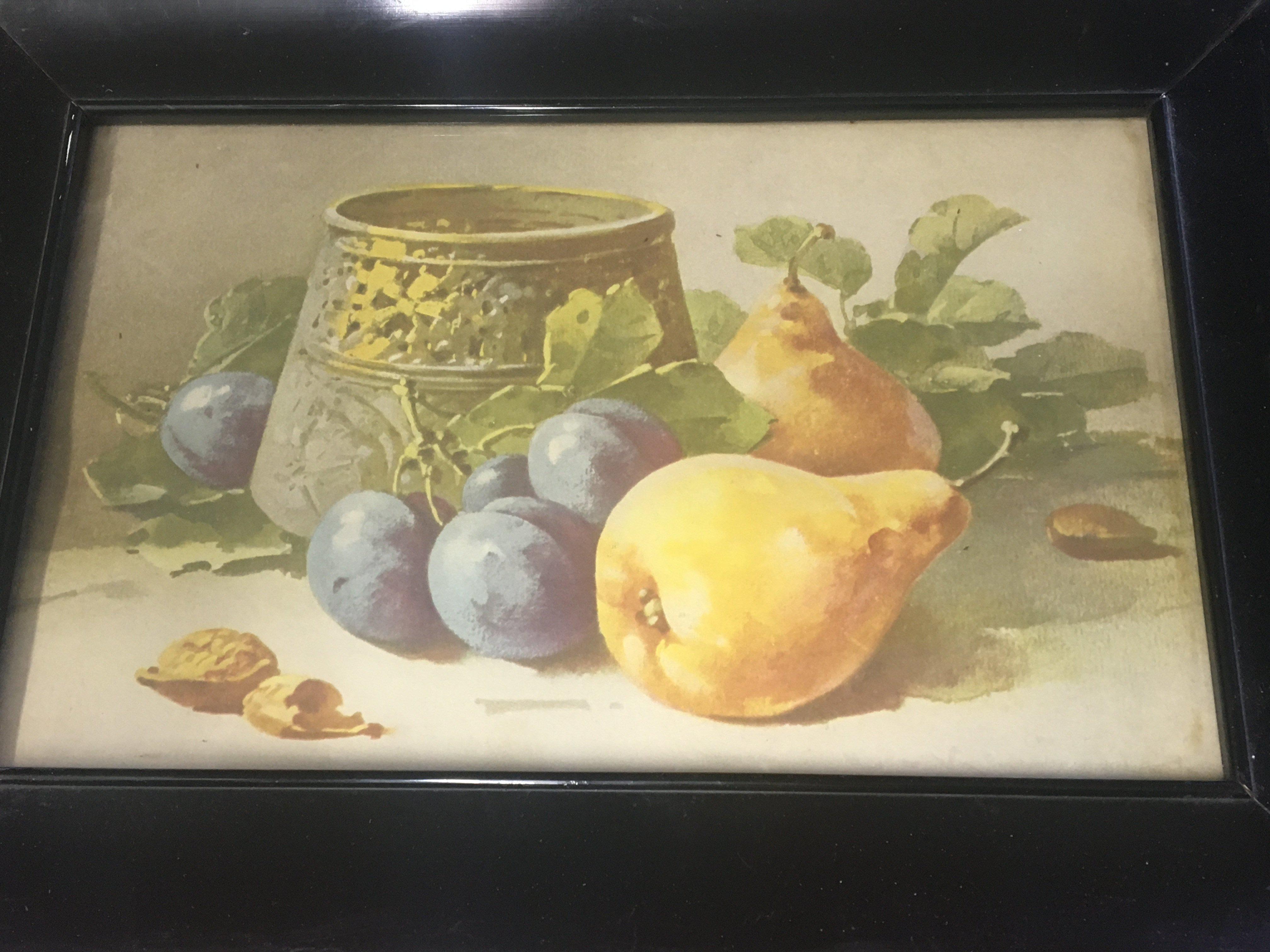 A pair of framed watercolours still life signed Catharina Klein .