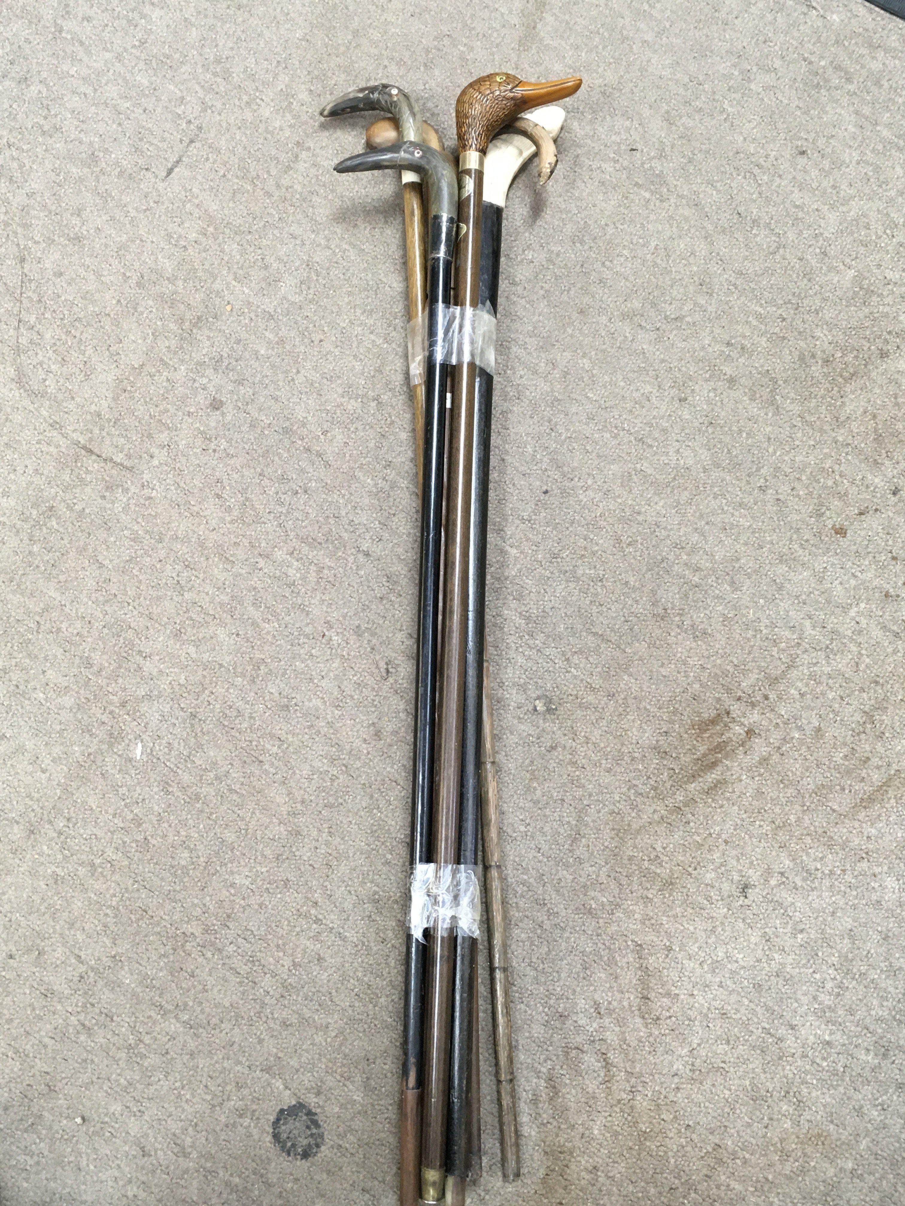 A collection of walking sticks with bird heads.