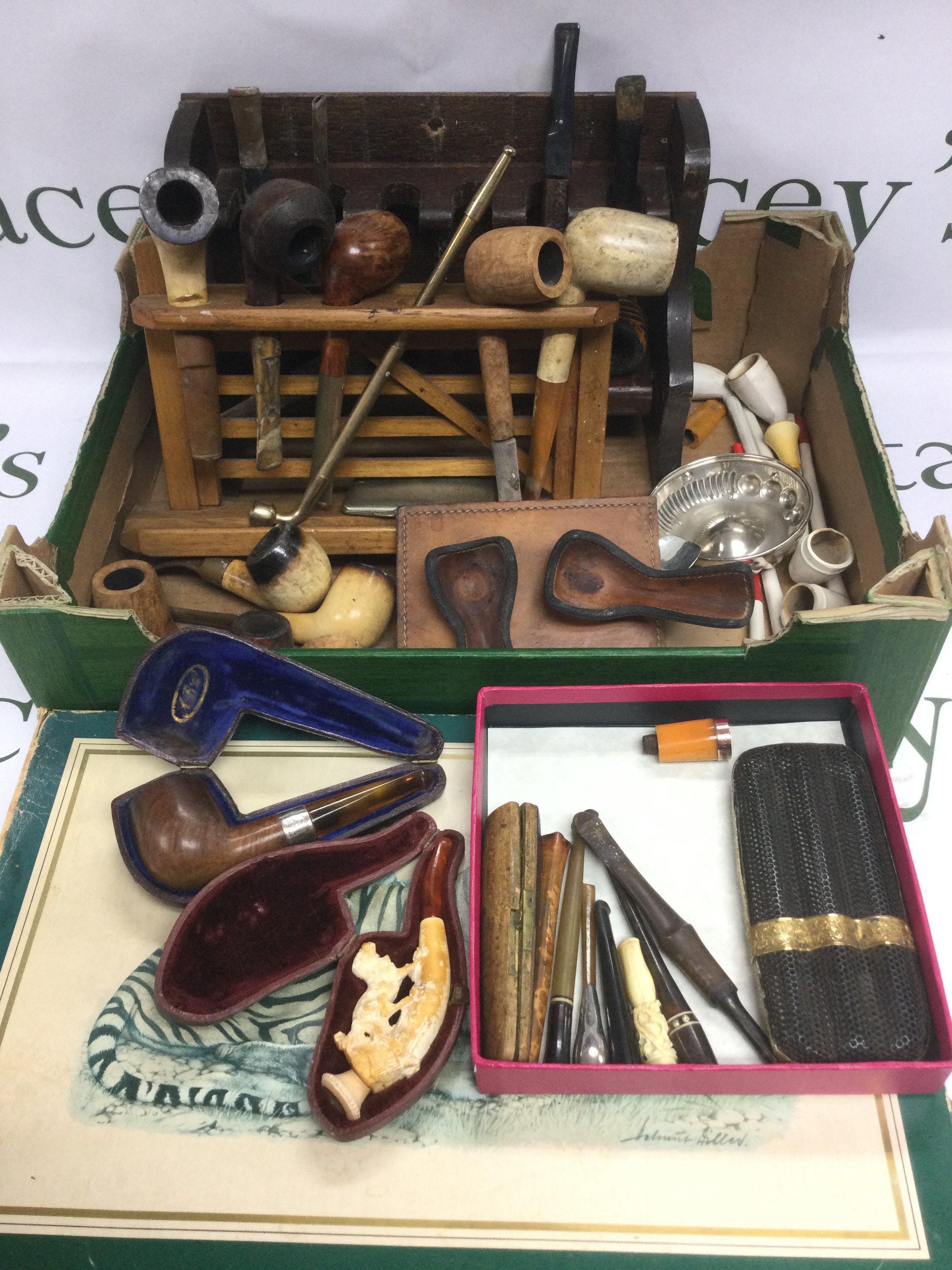 A collection of smoker's pipes and accessories plus a box set of WWF matches (2). Shipping category D.