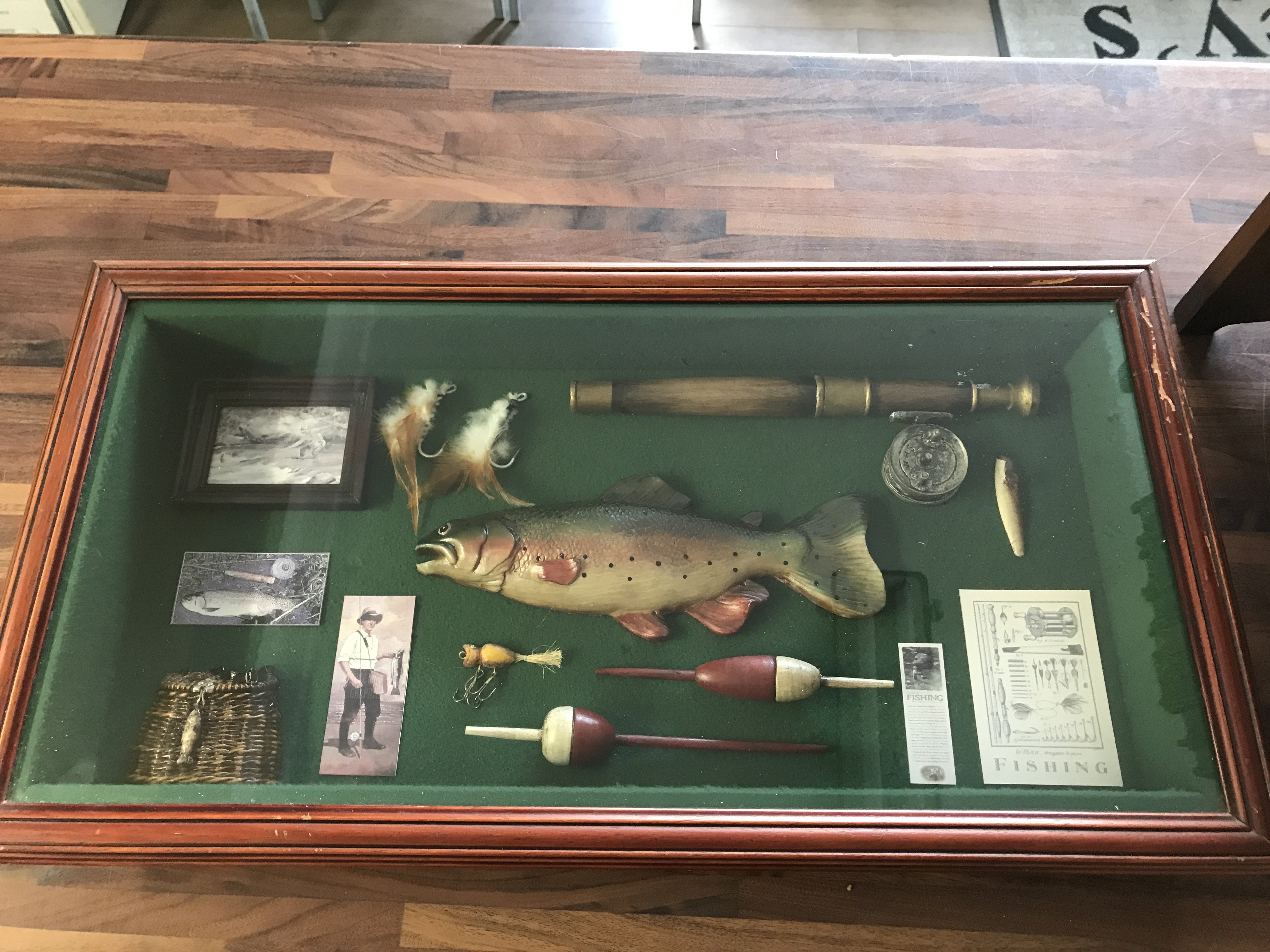 Framed rainbow trout fly fishing display , no reserve
