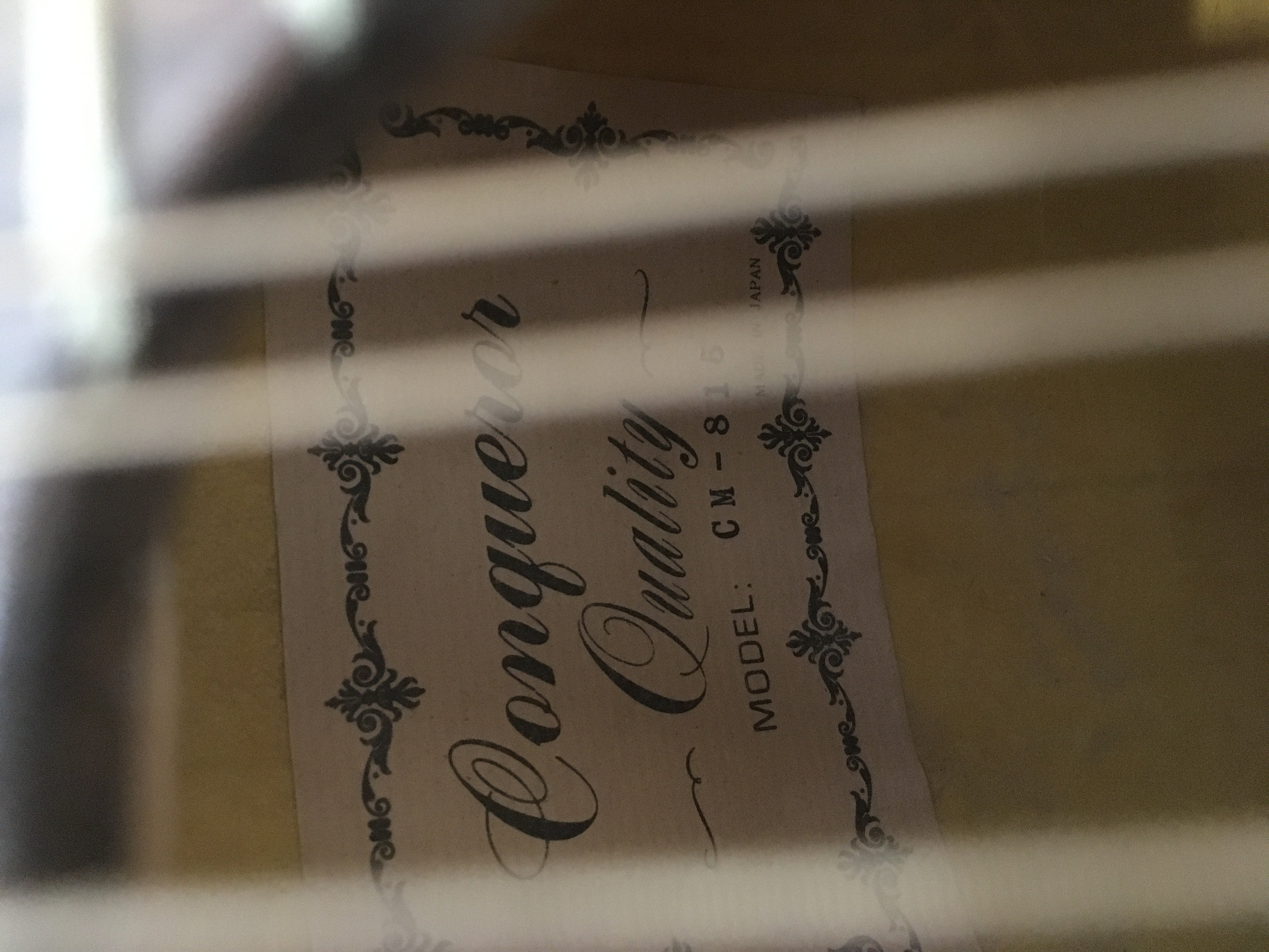 Two cased mandolins.