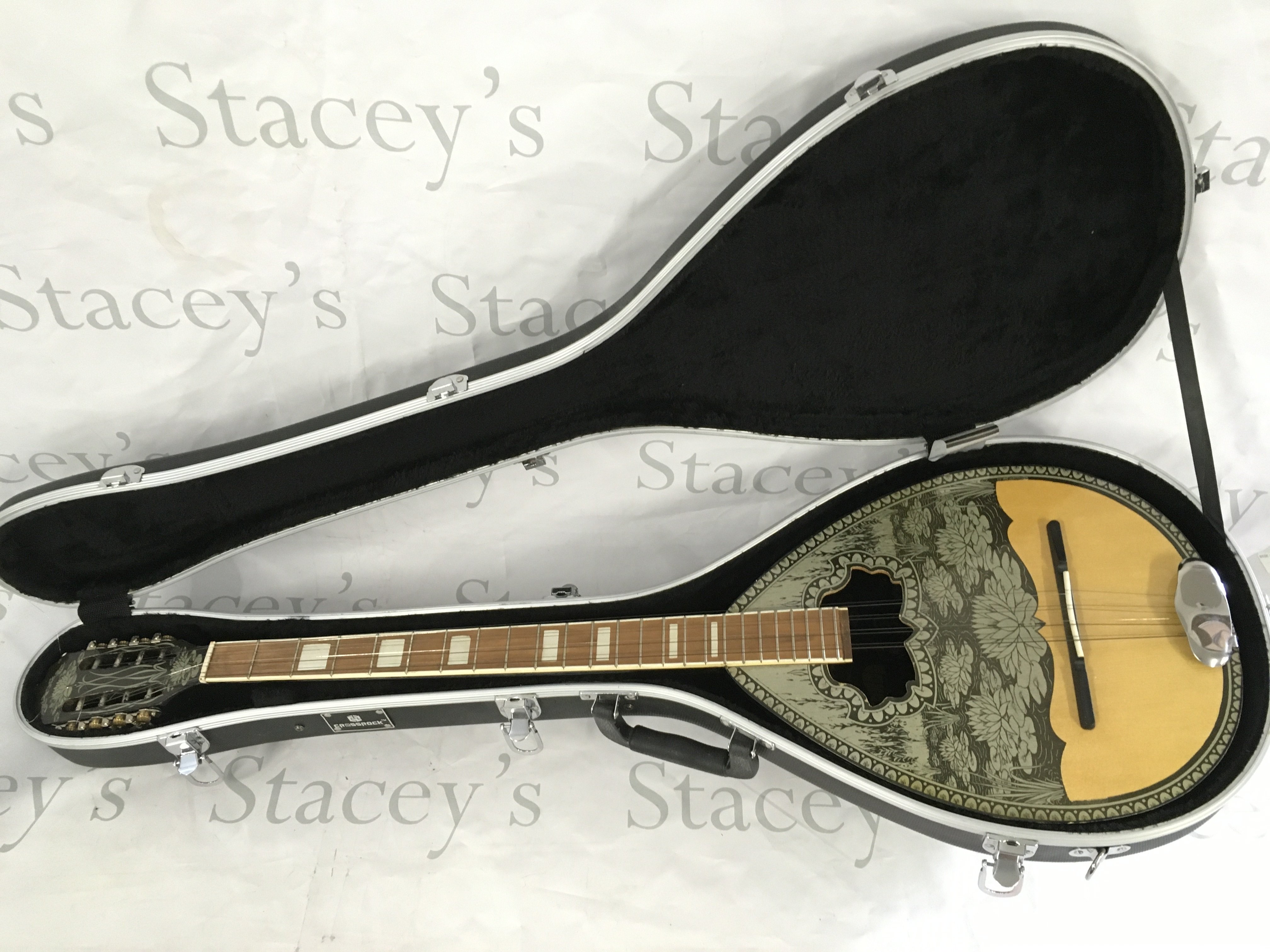A cased eight string bouzouki.