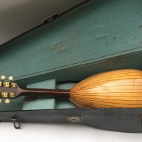 A cased mandolin with an inlaid soundhole rosette, no maker's label.