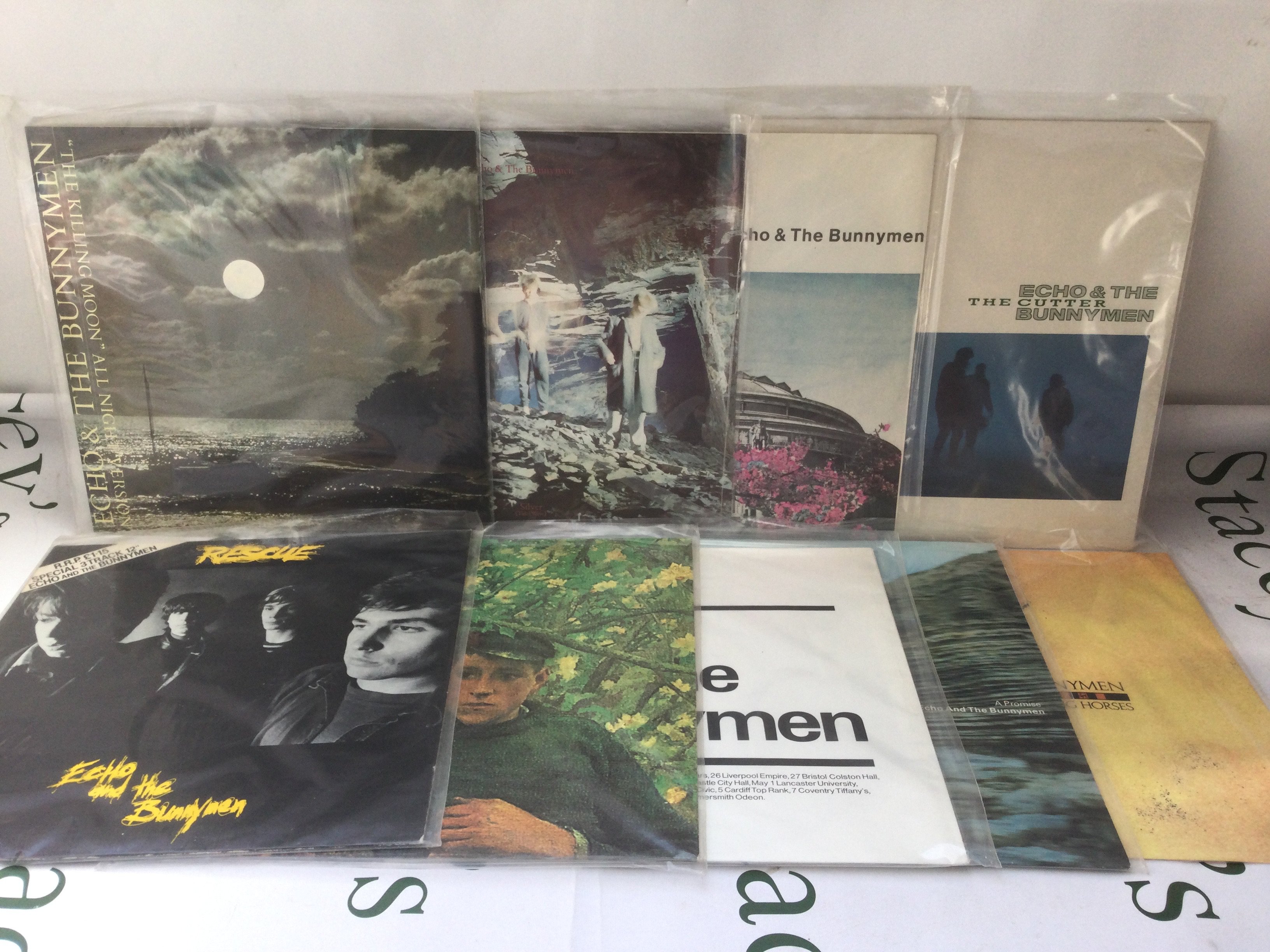 Nine Echo & The Bunnymen 12" singles.