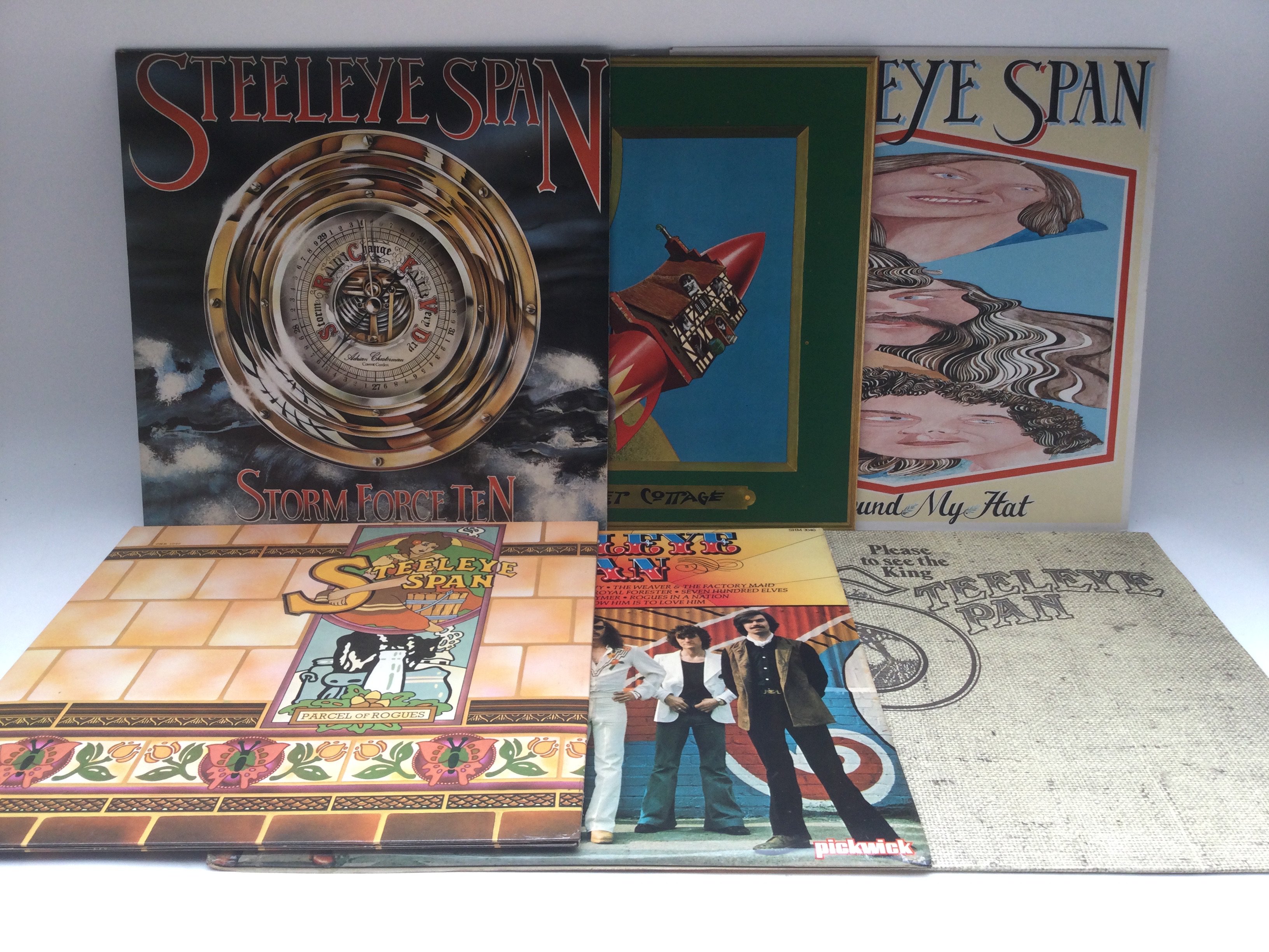 Eleven Steeleye Span LPs comprising reissues of 'Commoners Crown', 'Hark! The Village Wait', 'Please To See The King' and others.