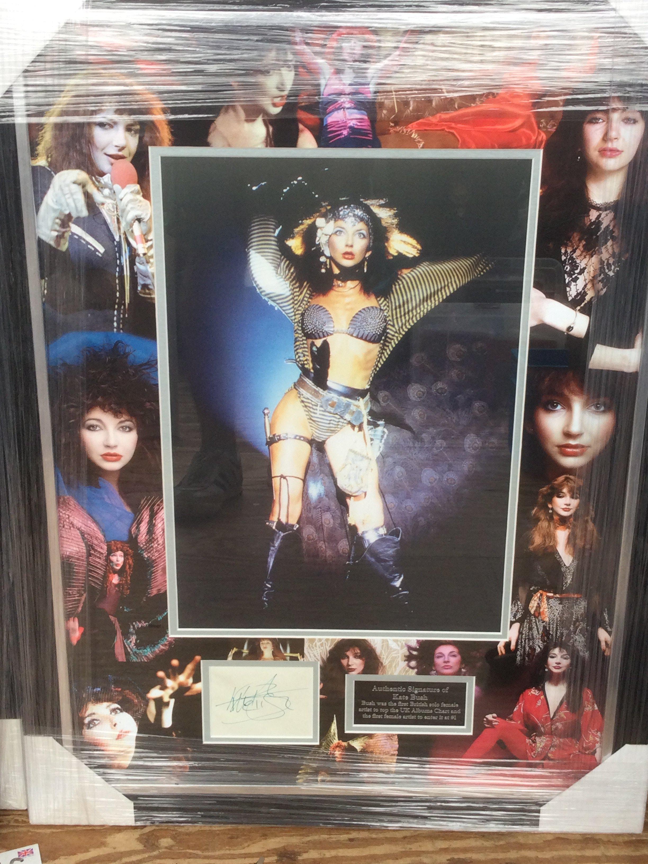 A framed and glazed signed Kate Bush display, approx 74.5cm x 55.5cm.