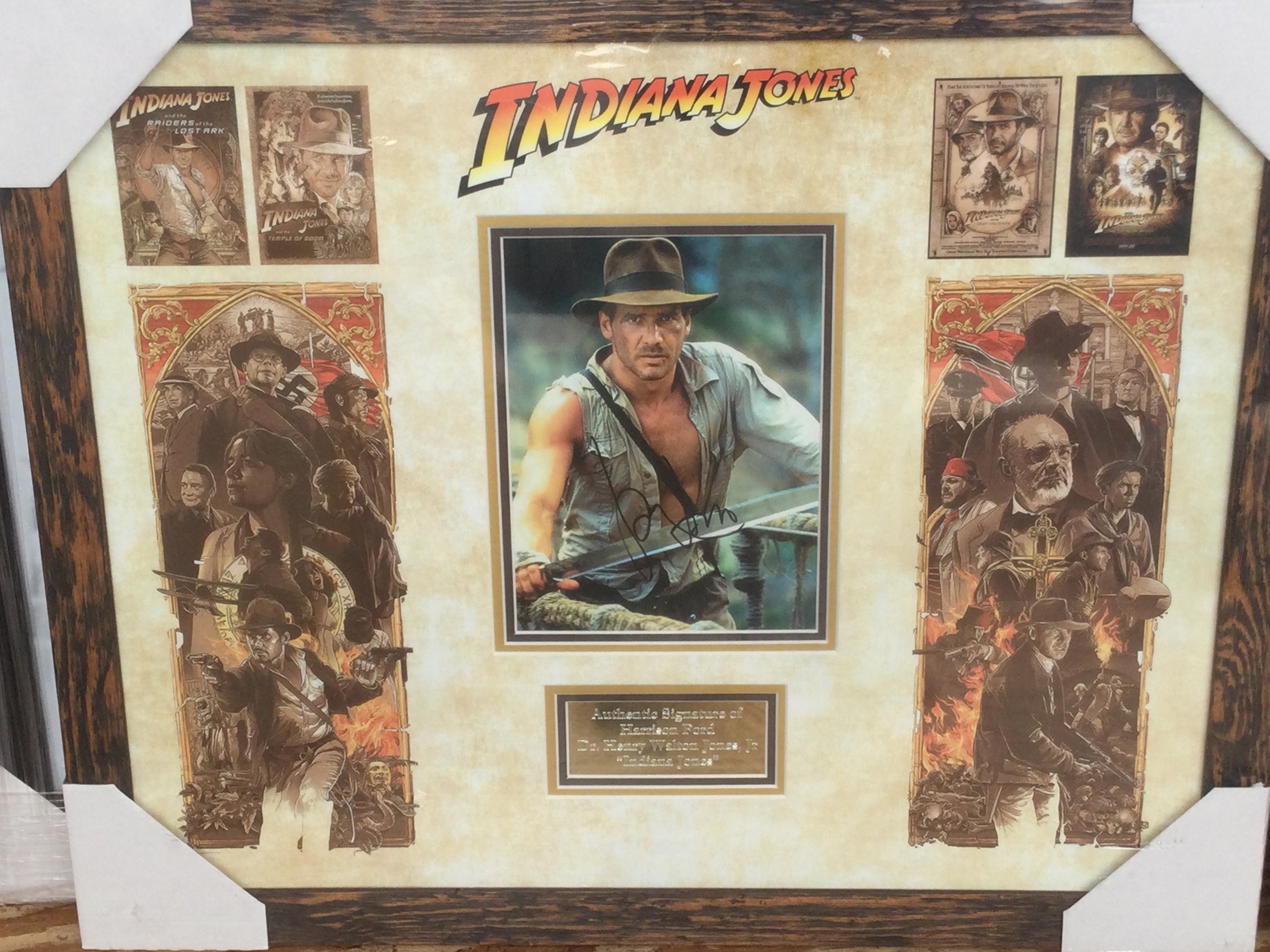 A framed and glazed Indiana Jones display signed by Harrison Ford with COA, approx 49cm x 59cm.