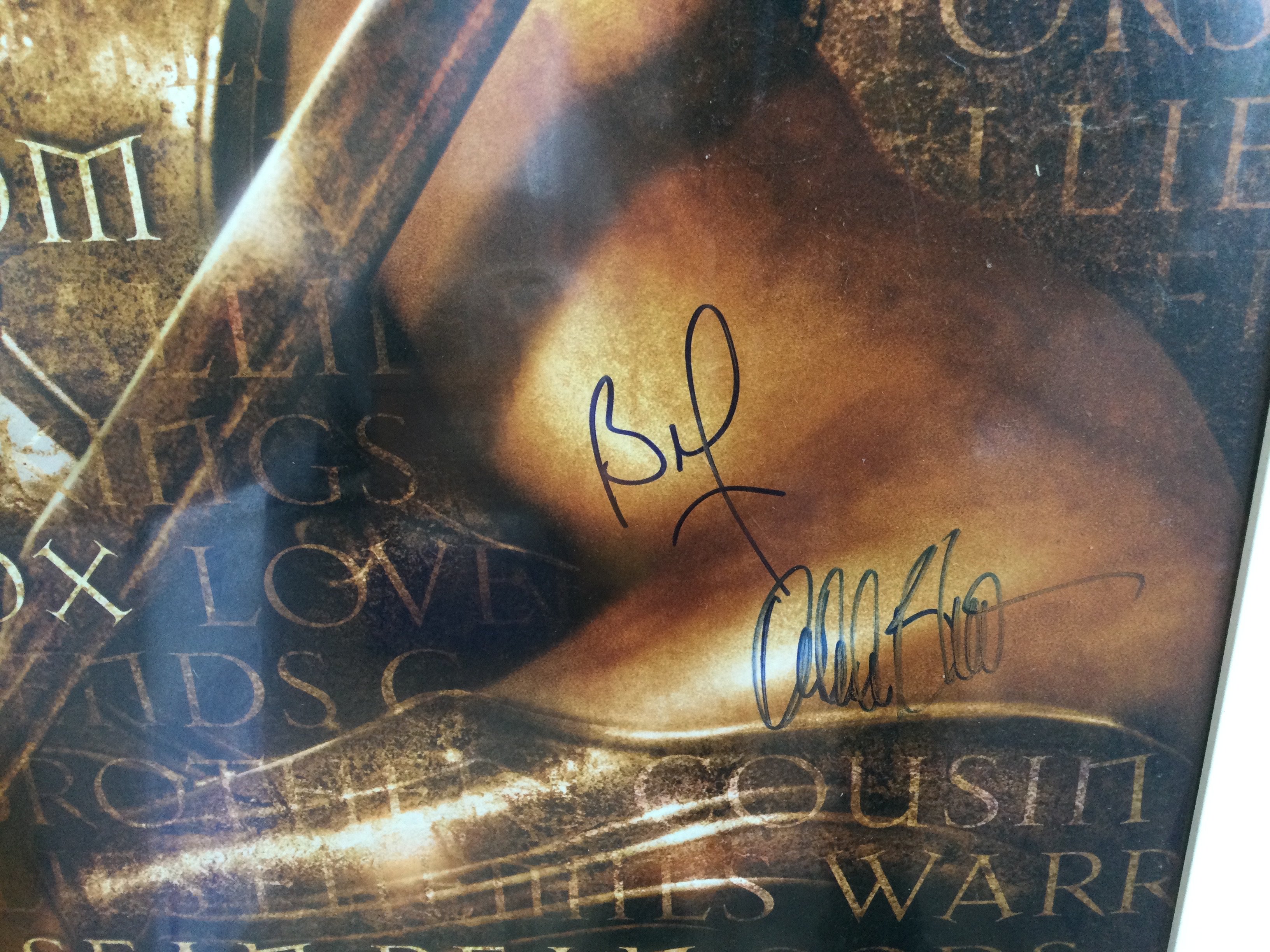 A signed US one sheet film poster for the 2004 movie Troy, signed by Brad Pitt and Orlando Bloom. Framed and glazed, not folded. Also comes with a Troy movie display containing a screen used prop arrow and signed Brad Pitt photo (2).