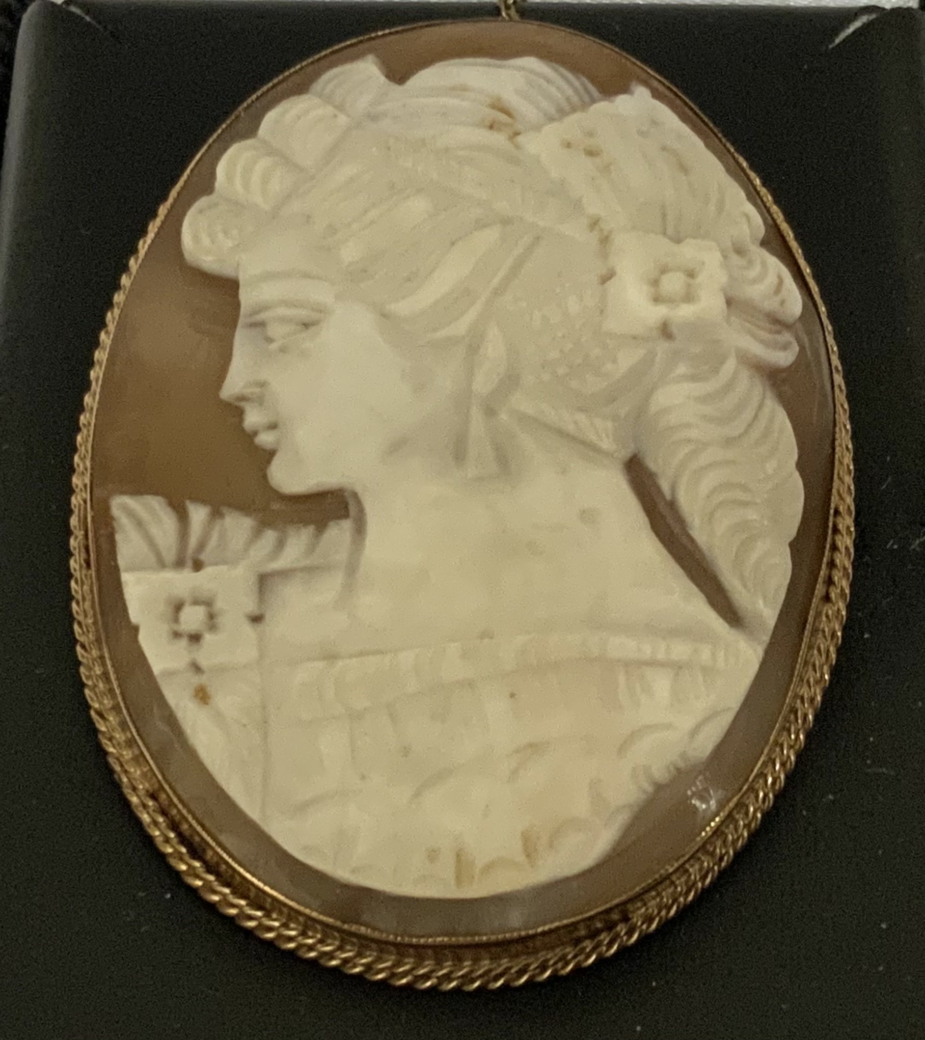 A. 9ct gold mounted cameo brooch. 5.7cm x 4.5cm (A)