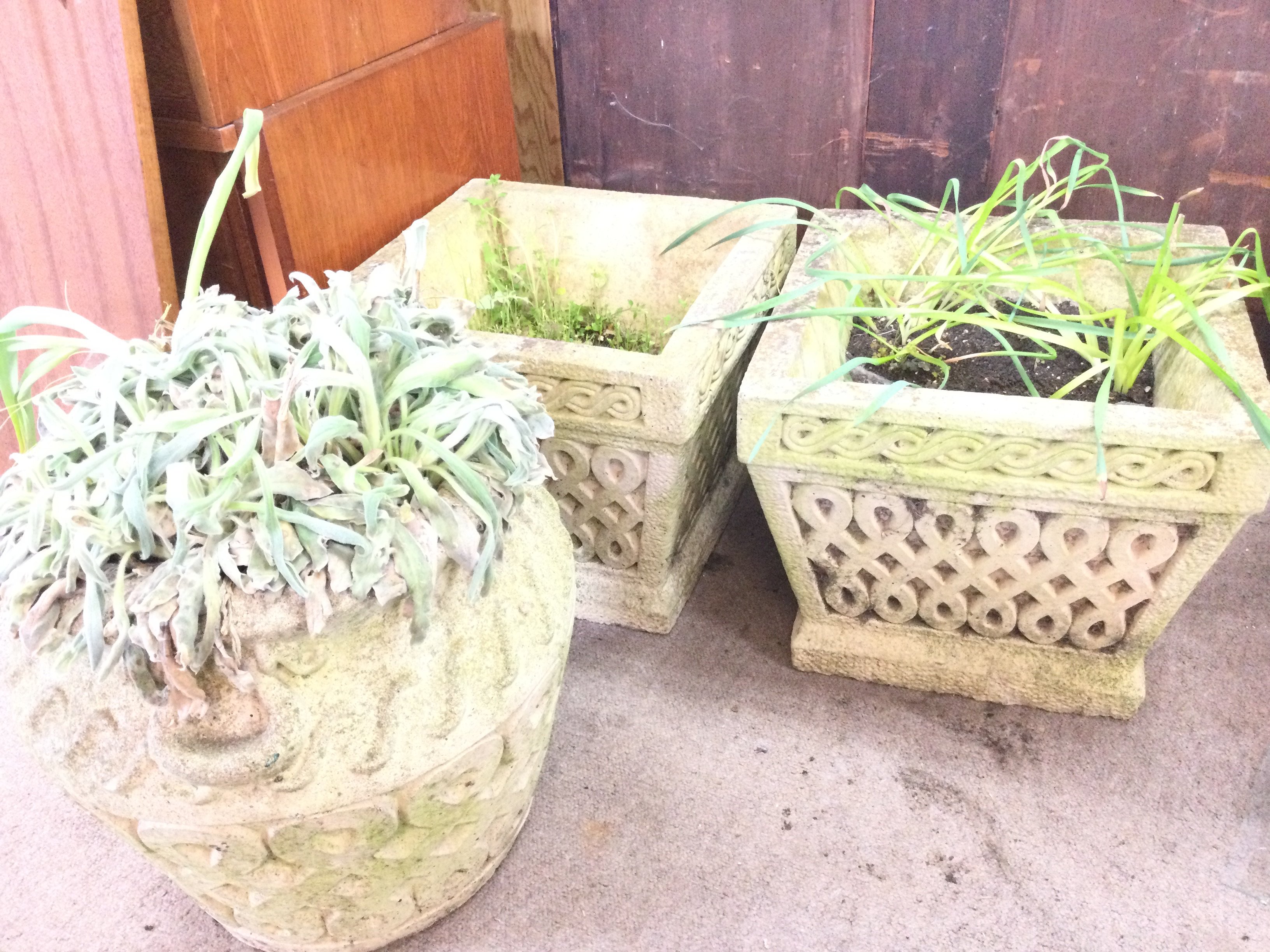 3 X Celtic Composition Garden Pots. (3).
