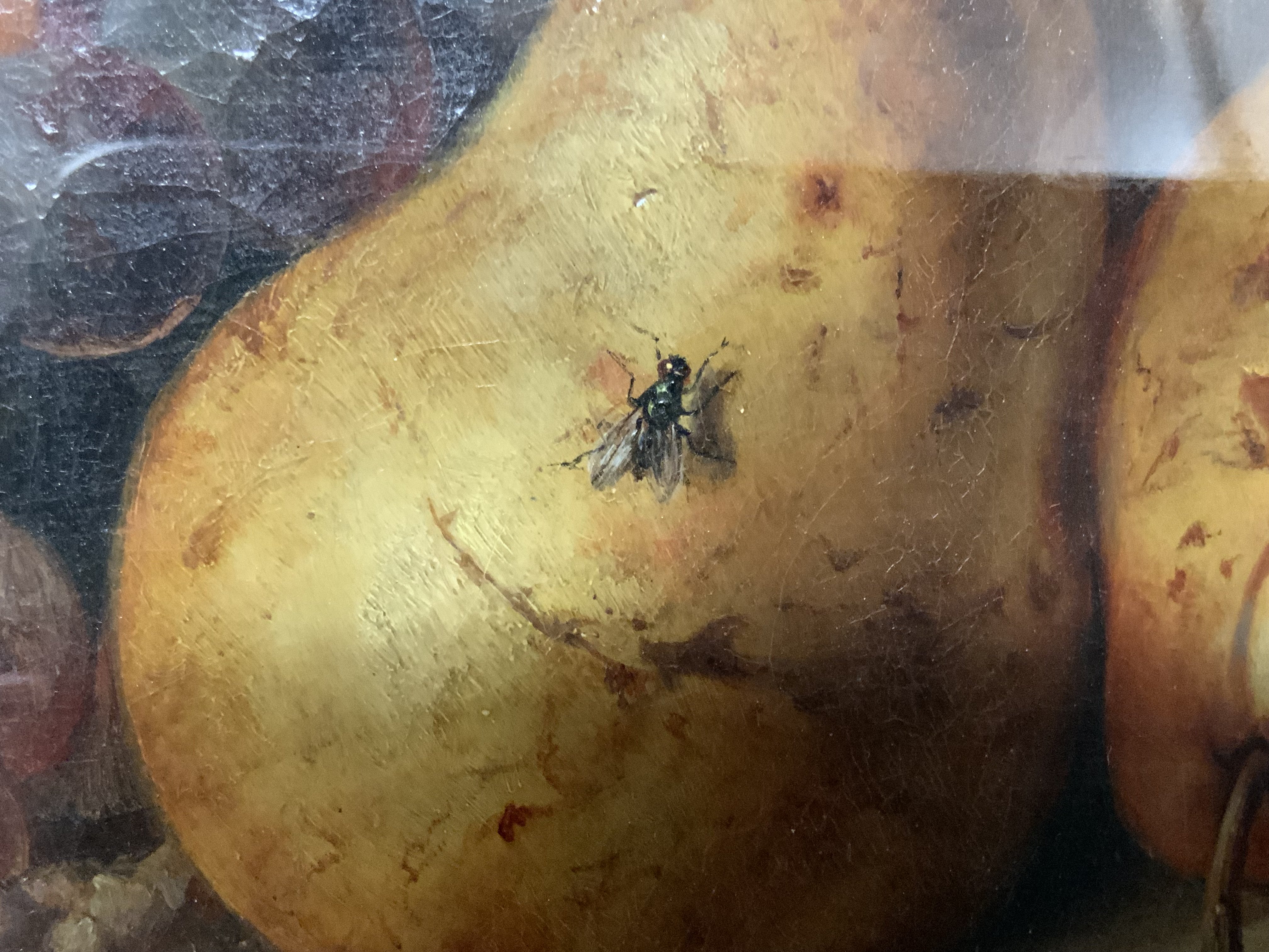 Edward LADELL, Attr. 1821-1886, Still life fruit with flagon and insects. Mounted witching glazed gilt gesso frame. Overall. 53cm x 48cm. Requires restoration.