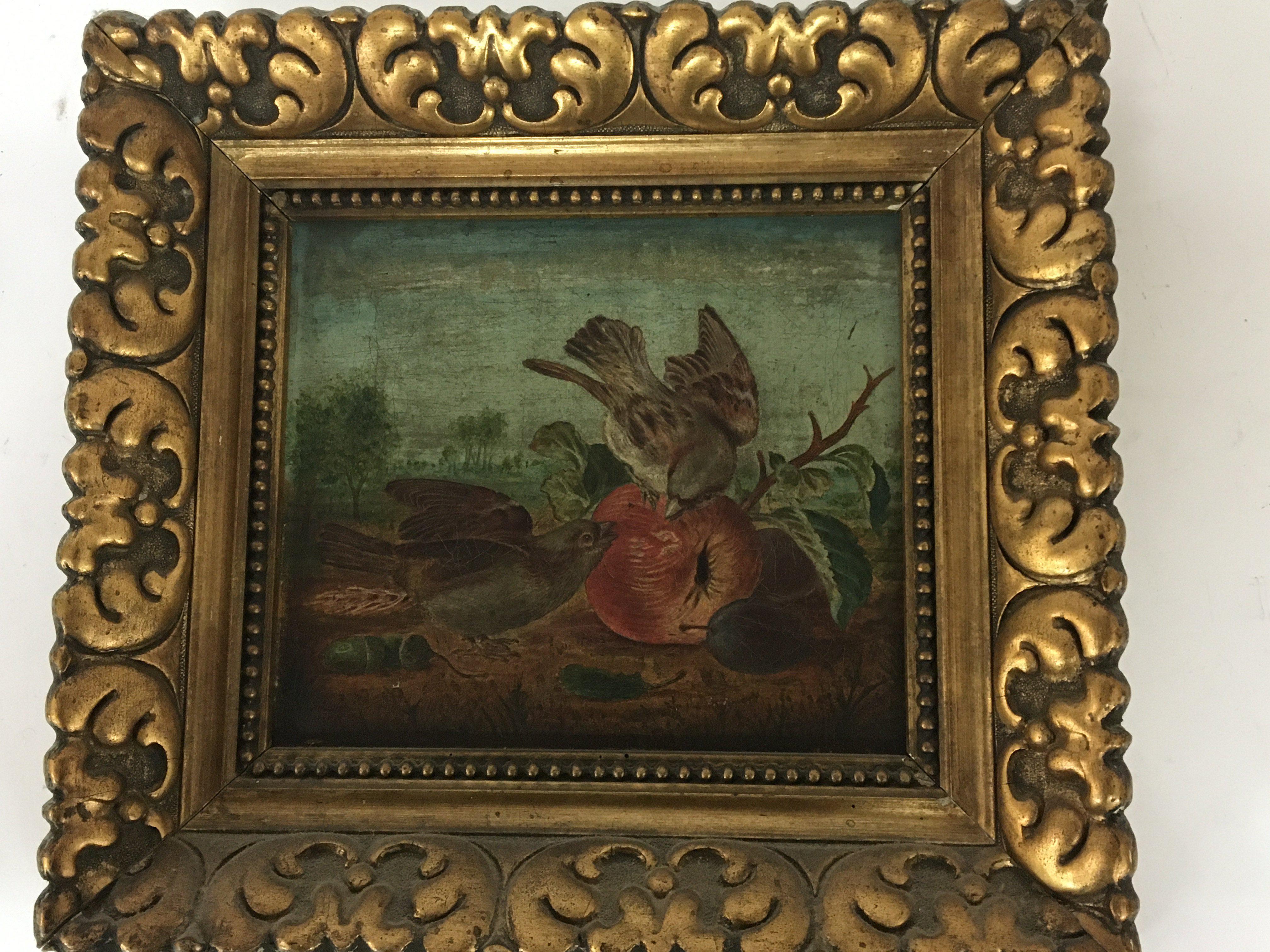 A gilt framed oil painting on canvas 19th century a study of garden birds eating fruit. Unsigned. 38x35cm