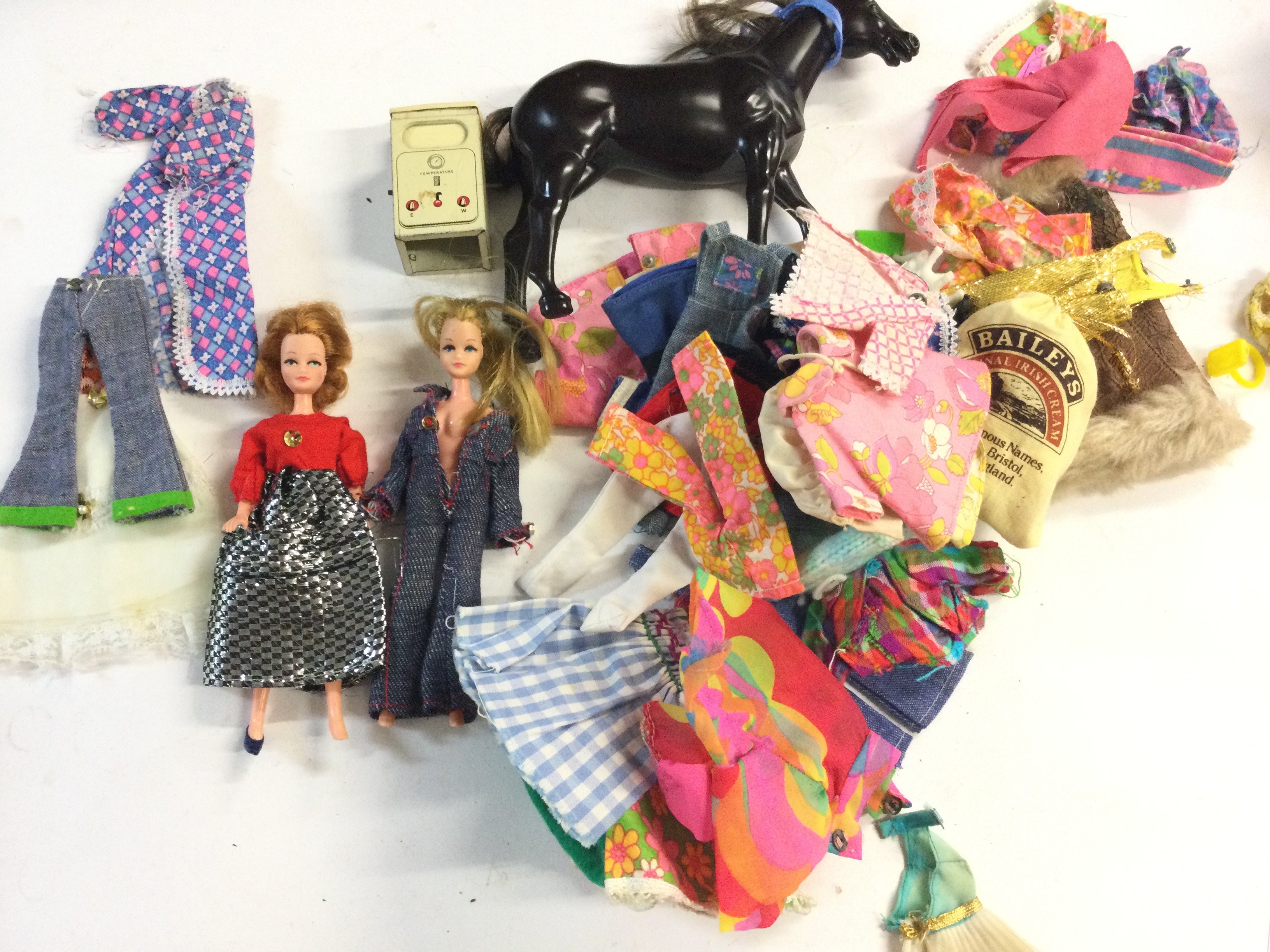 2 X Pippa Dolls And Some accessories.