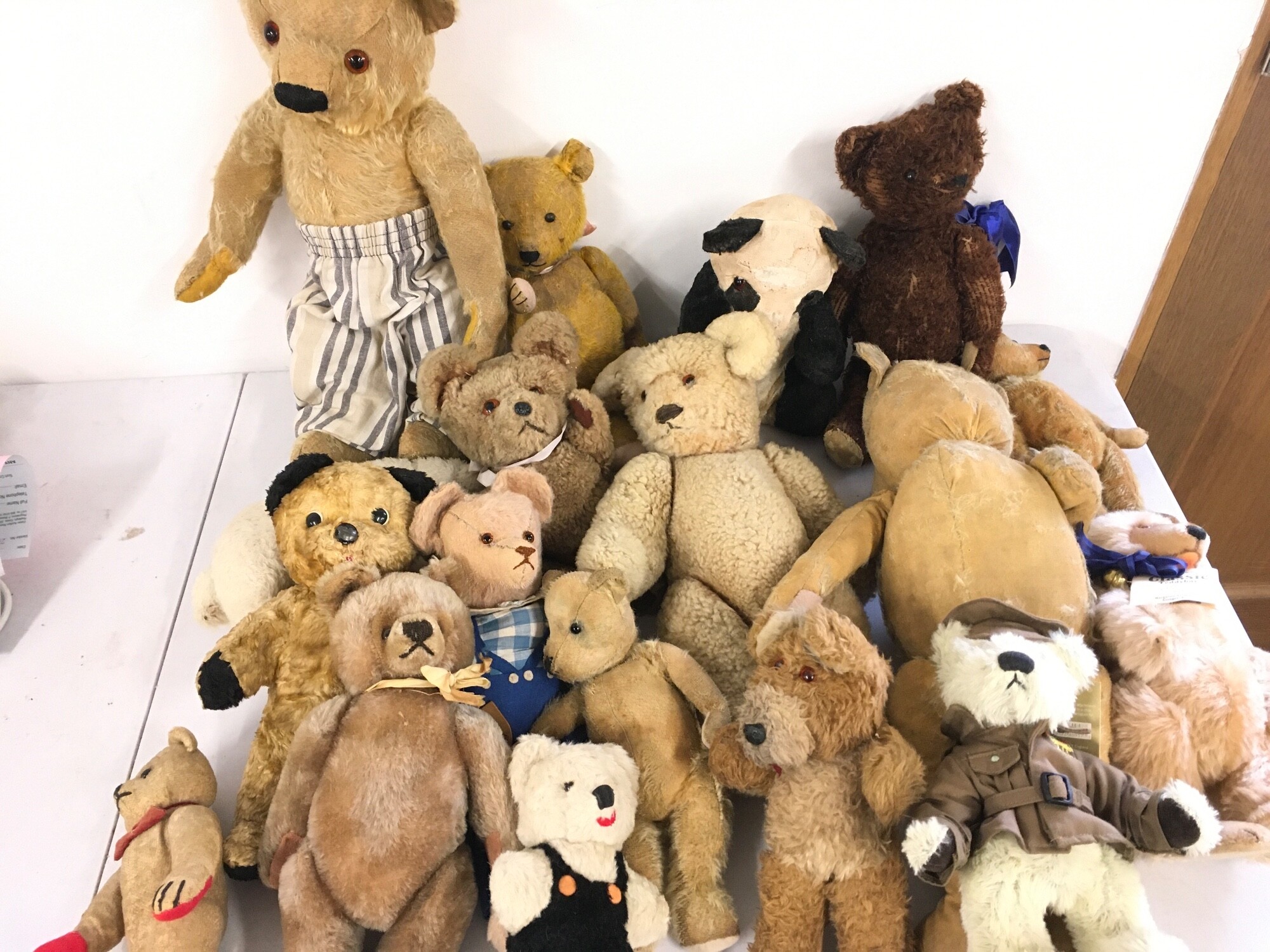 A Collection of assorted vintage teddies from various markers.
No reserve