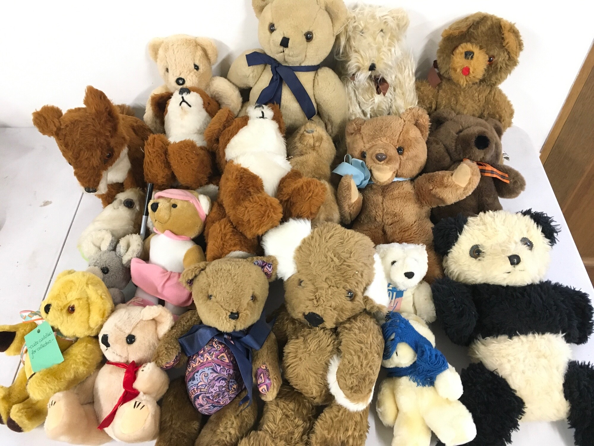 A large collection of assorted teddies. No reserve.