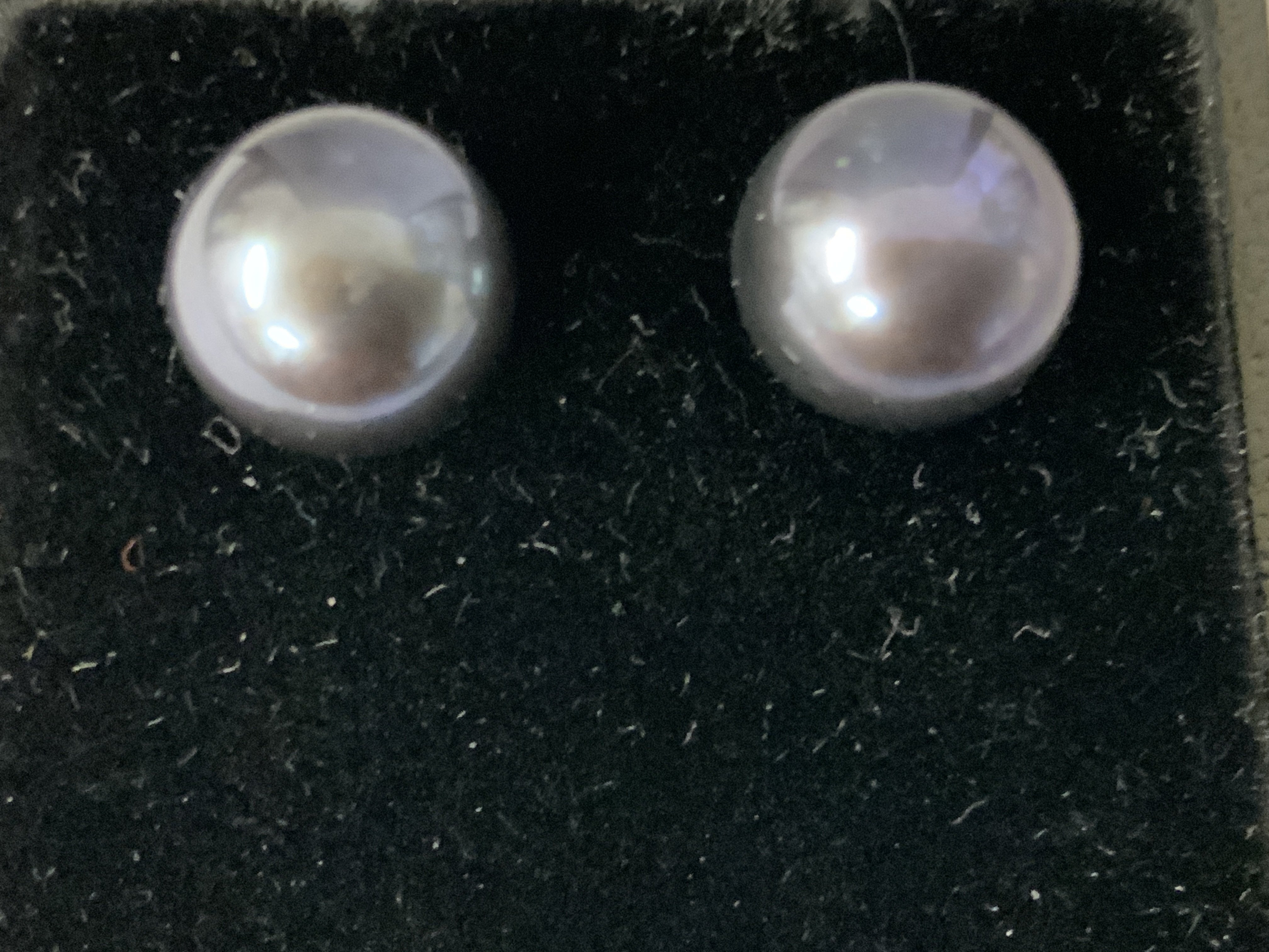 Pair of 9ct yellow gold studs set with oblate spheroid black cultured pearls, with purple, blue and green iridescence, boxed. Postage category A