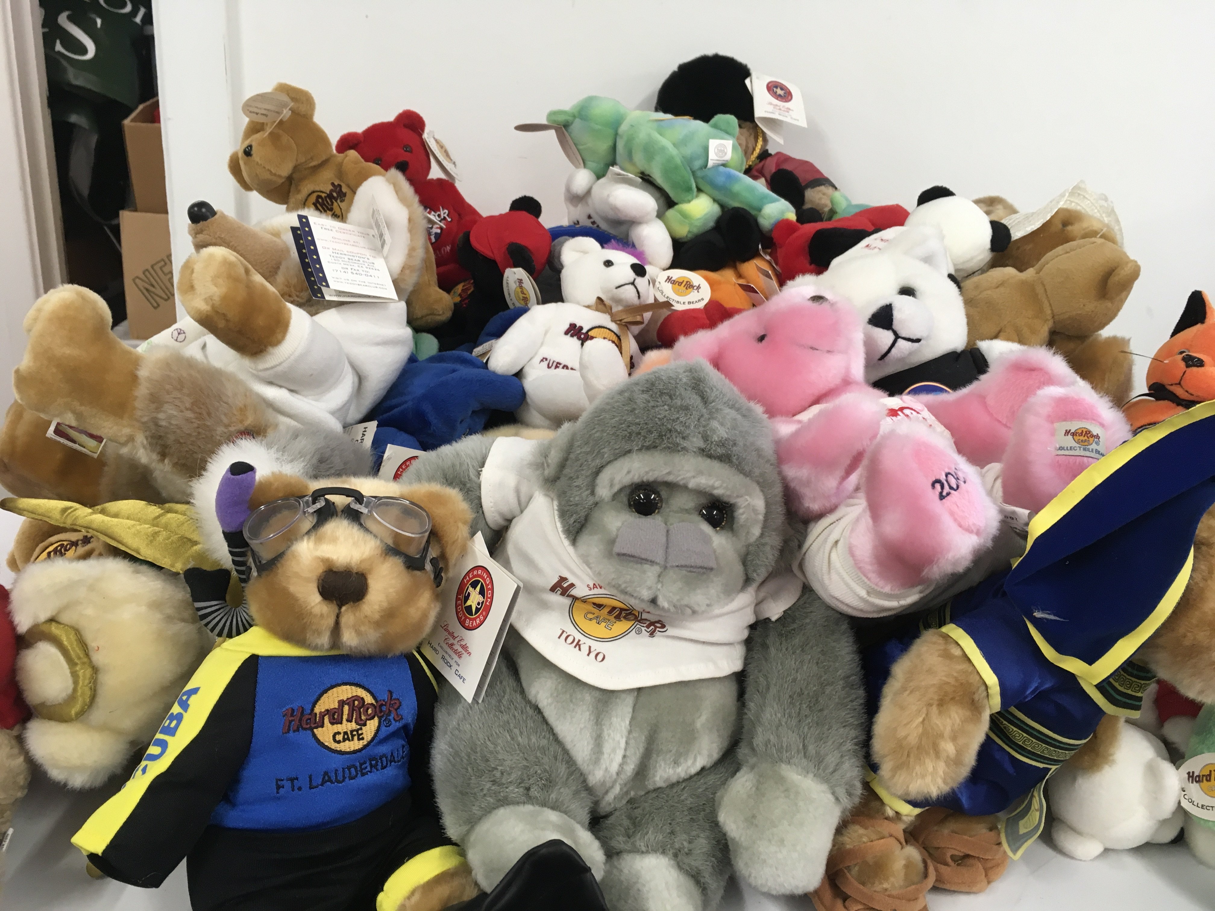 A collection in excess of 50 Teddy Bears in the Hard Rock Cafe series mostly with tags. Includes some limited and signature editions. No reserve