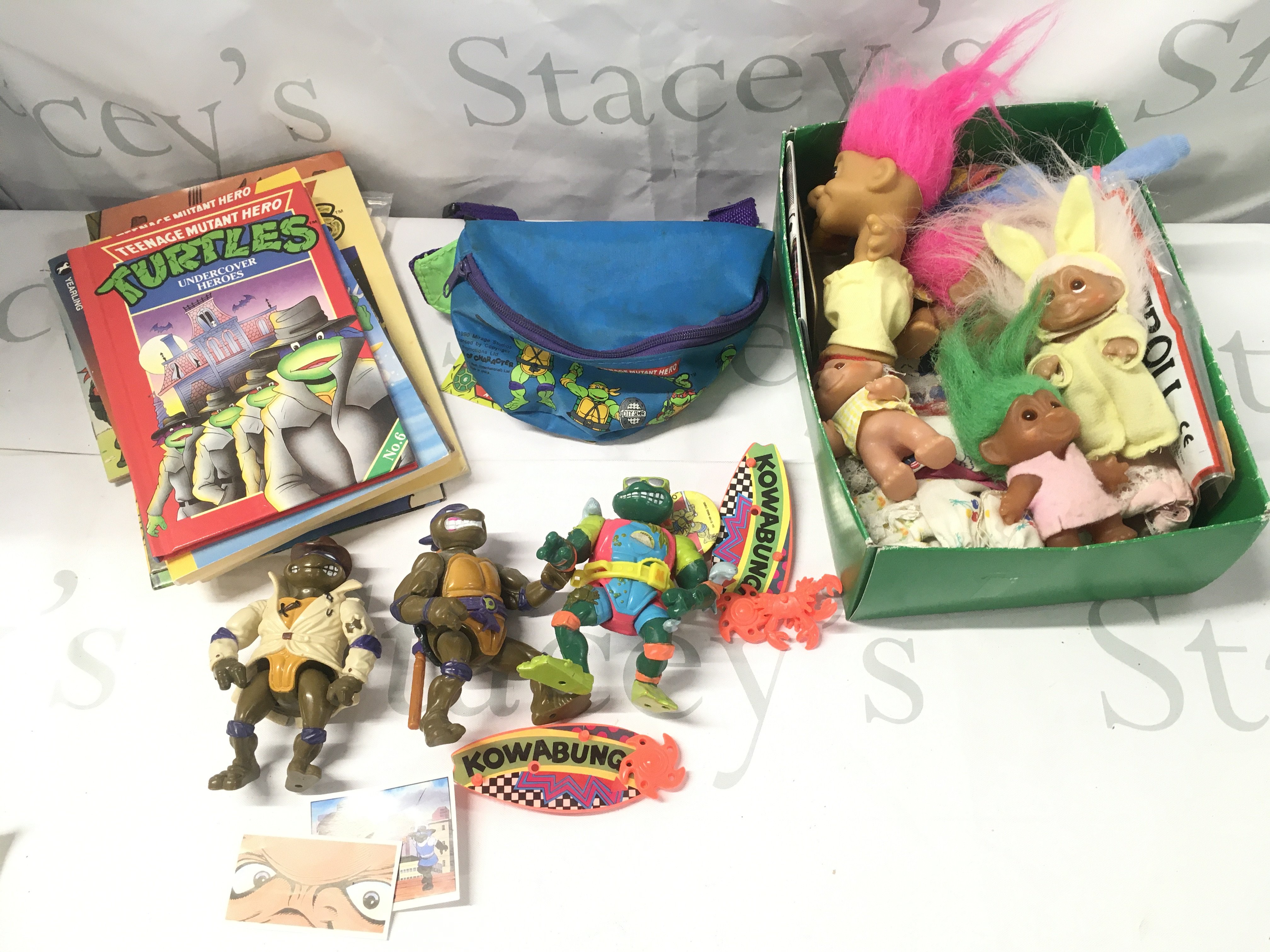 A Collection of Teenage Muntant Hero Turtles Figures and Book And A Collection of Trolls.