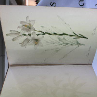 Album de redoute by Sitwell and Roger Madol.