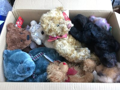 A box of teddy bears comprising mainly Russ examples,