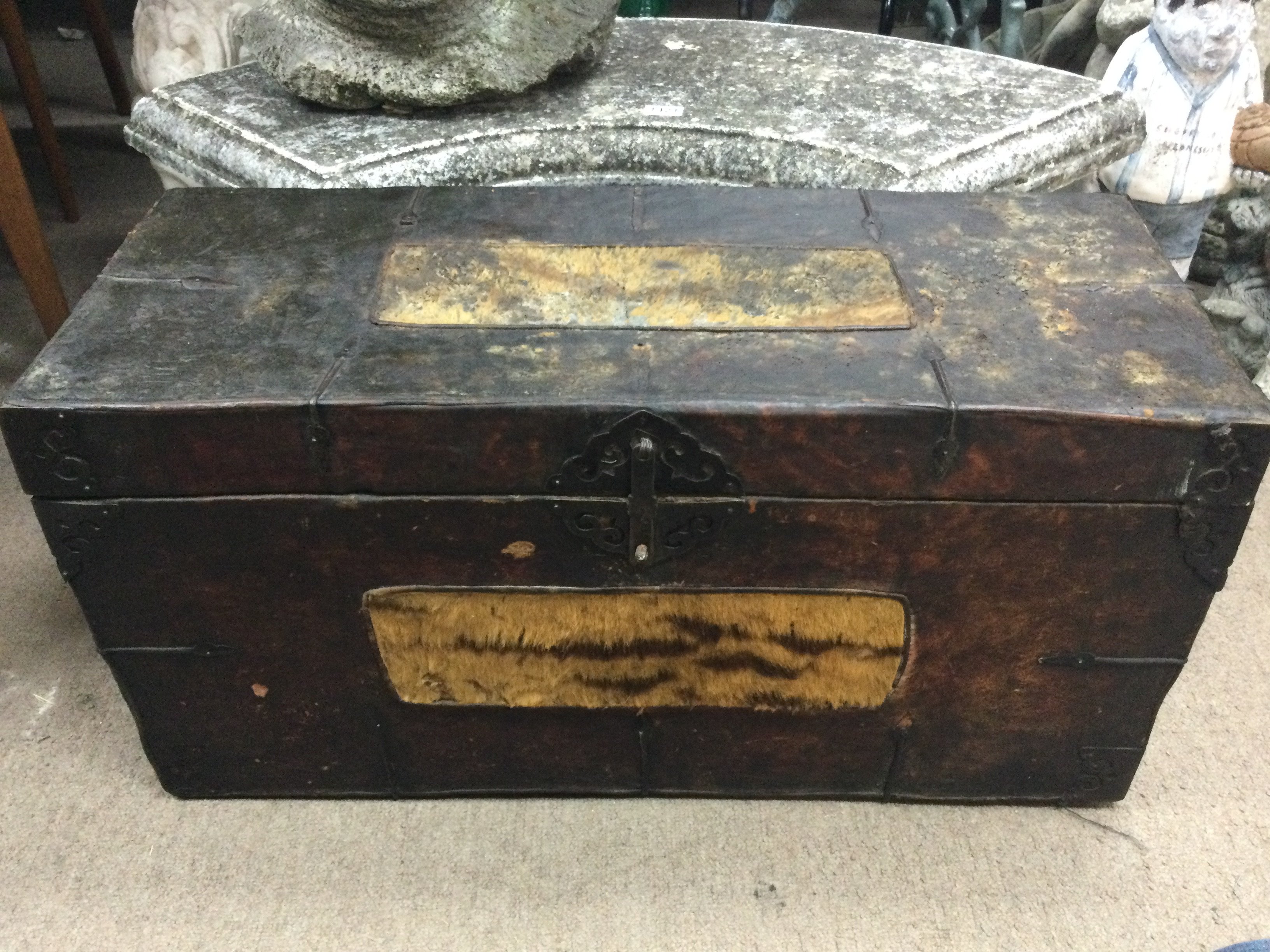 An early 19th century chest banded in leather and tiger skin . Dimensions 35cm long 85cm wide 42Cm tall