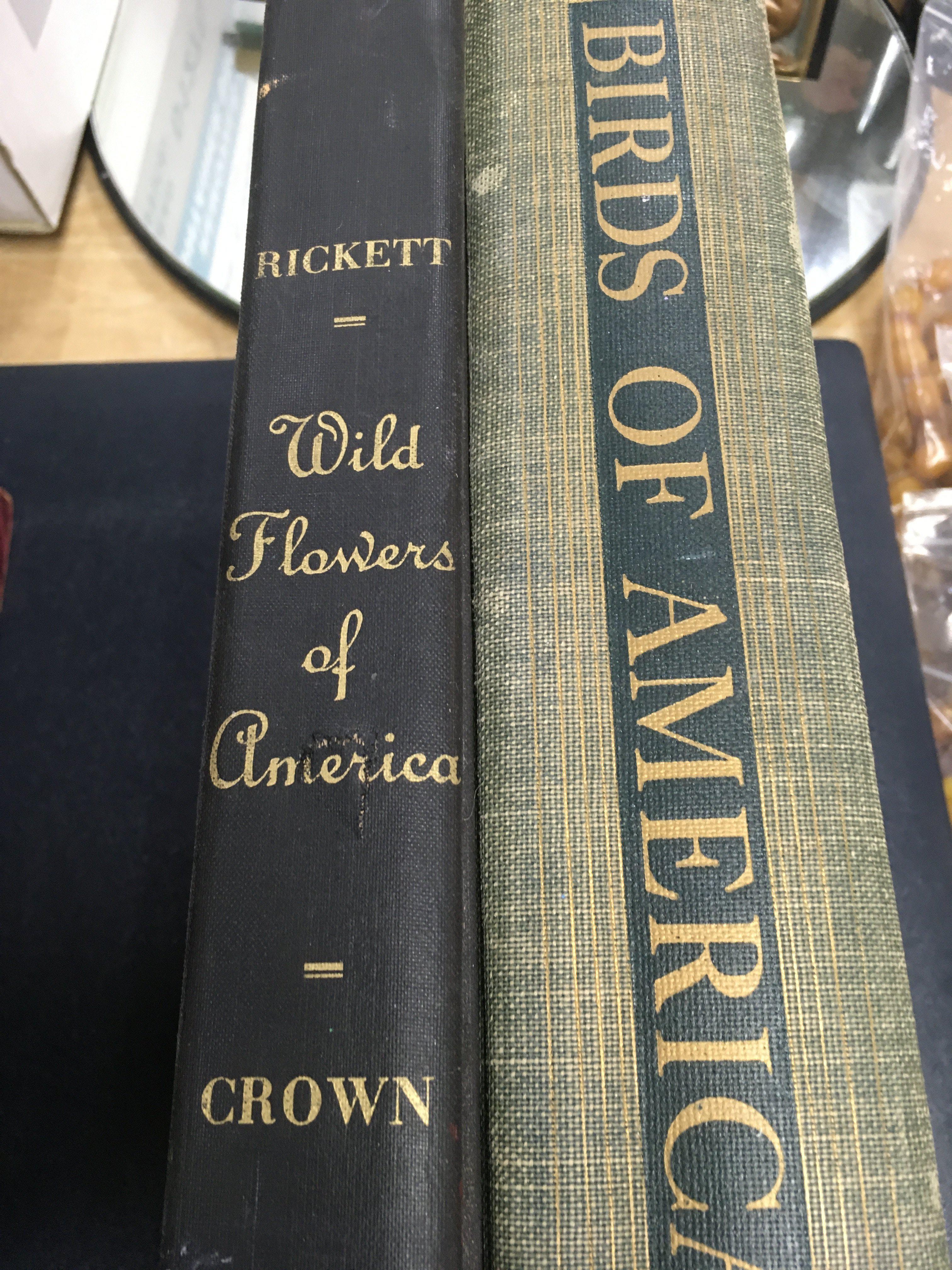 A collection of Books Birds of America wild flowers of America Shakespeare dictionary l