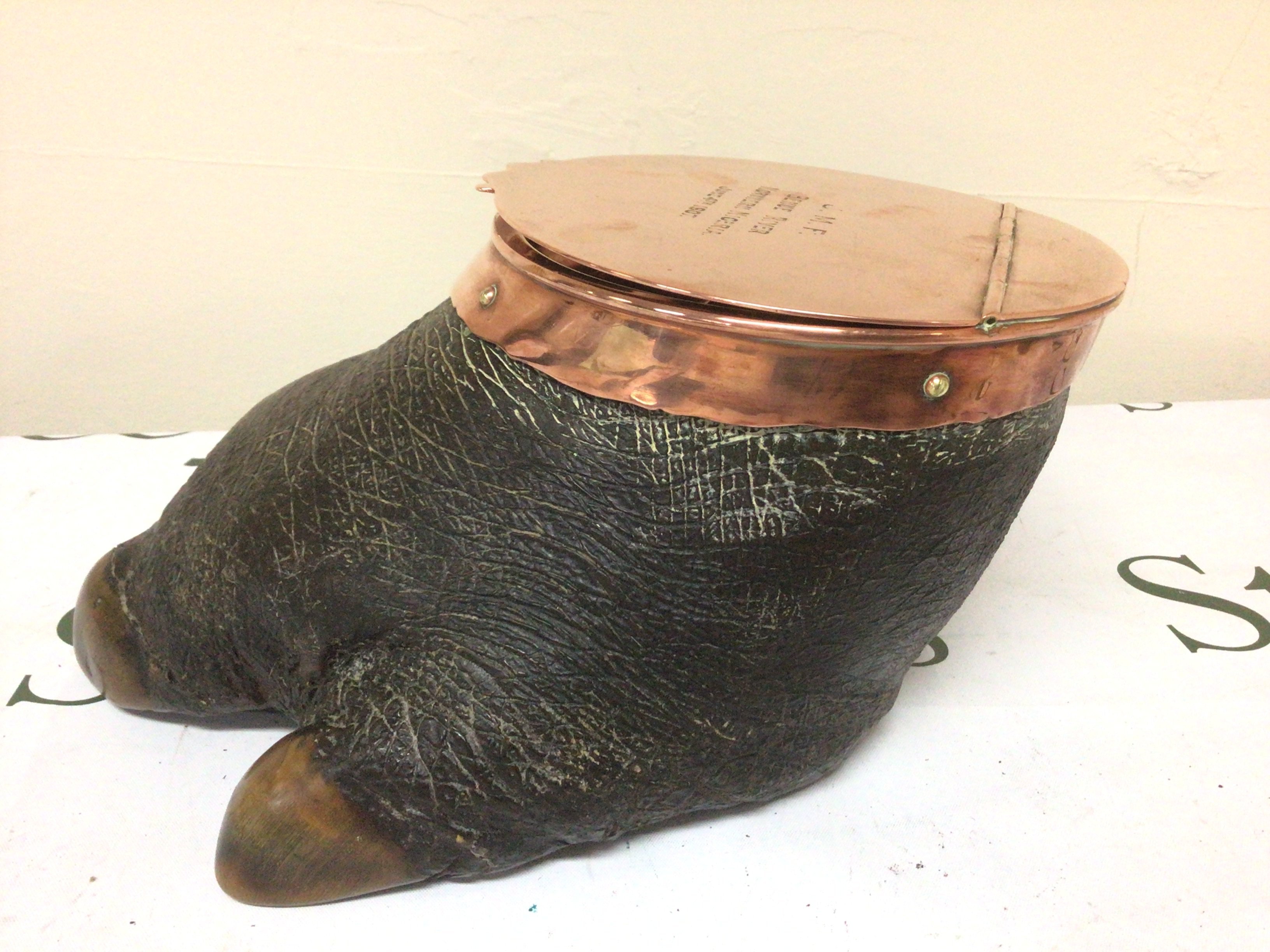 An Early 20th Century copper mounted Hippopotamus foot the copper hinged top enclosing an ink well and with the inscription JMF Benue River North Nigeria June 1907.