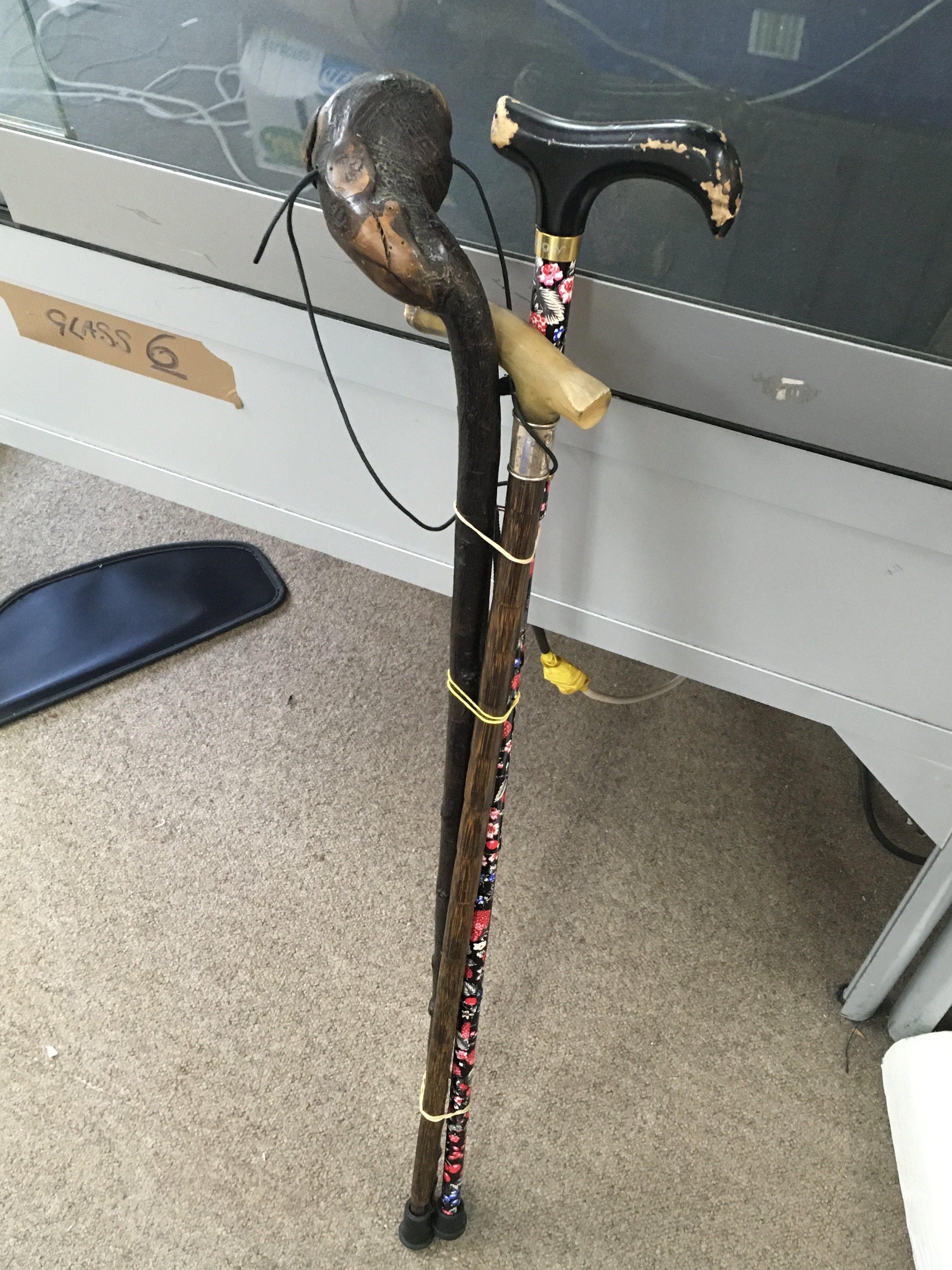 Three walking sticks