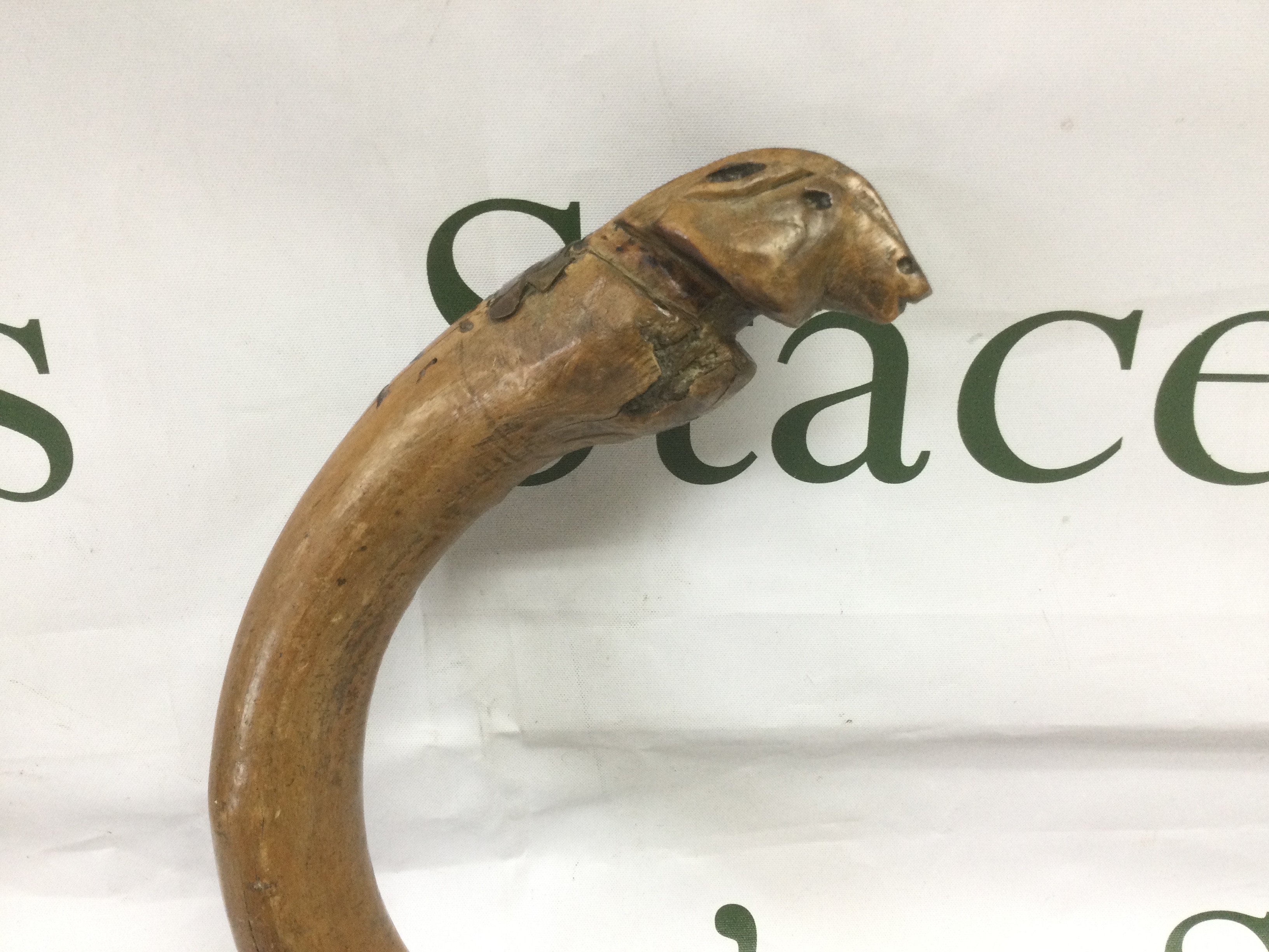 A walking cane, the handle carved in the form of an animal head, approx total length 97cm. Shipping category D.