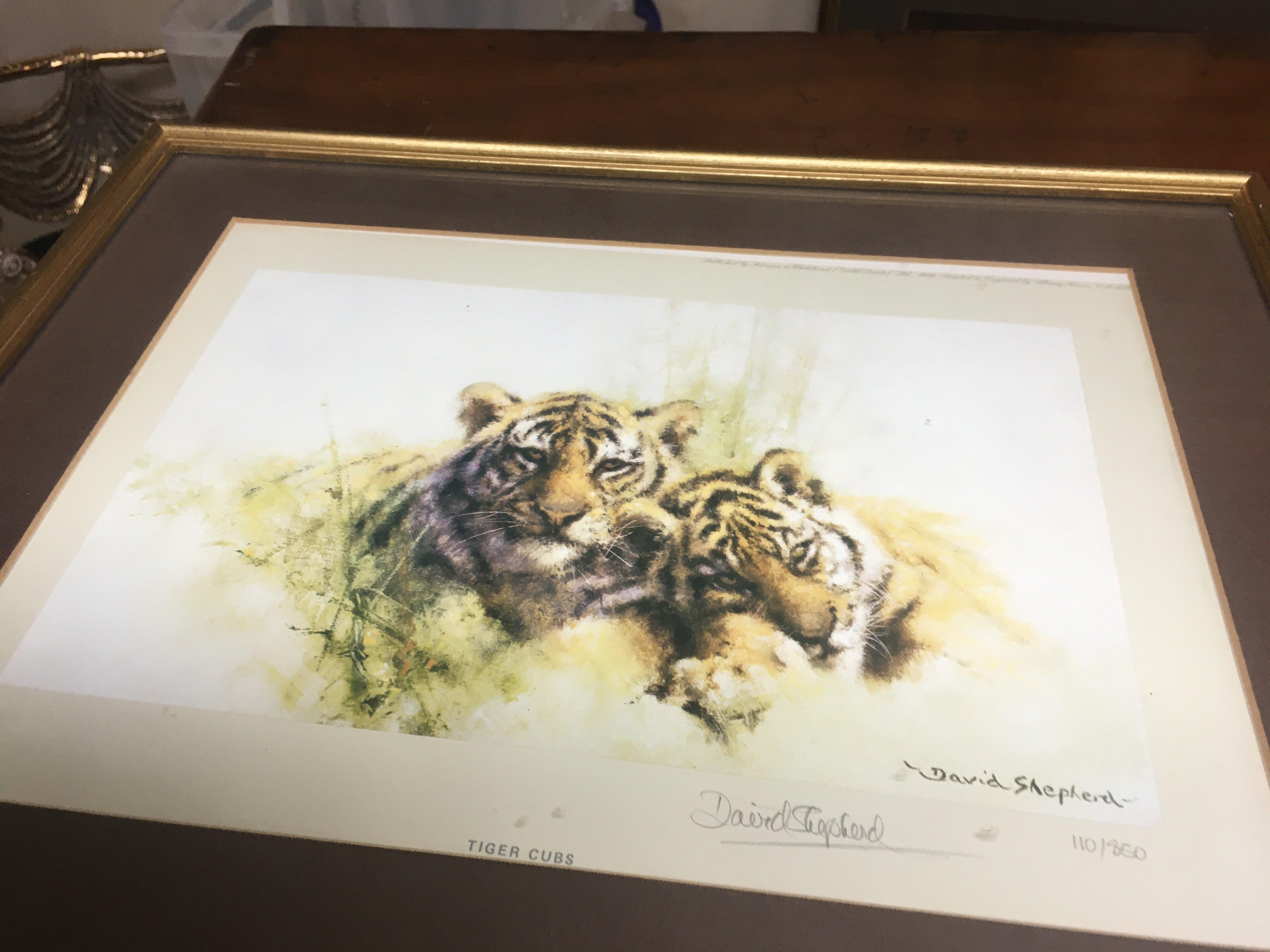 Two small David Shepherd signed prints depicting tigers and there cubs .20 x 25 cm