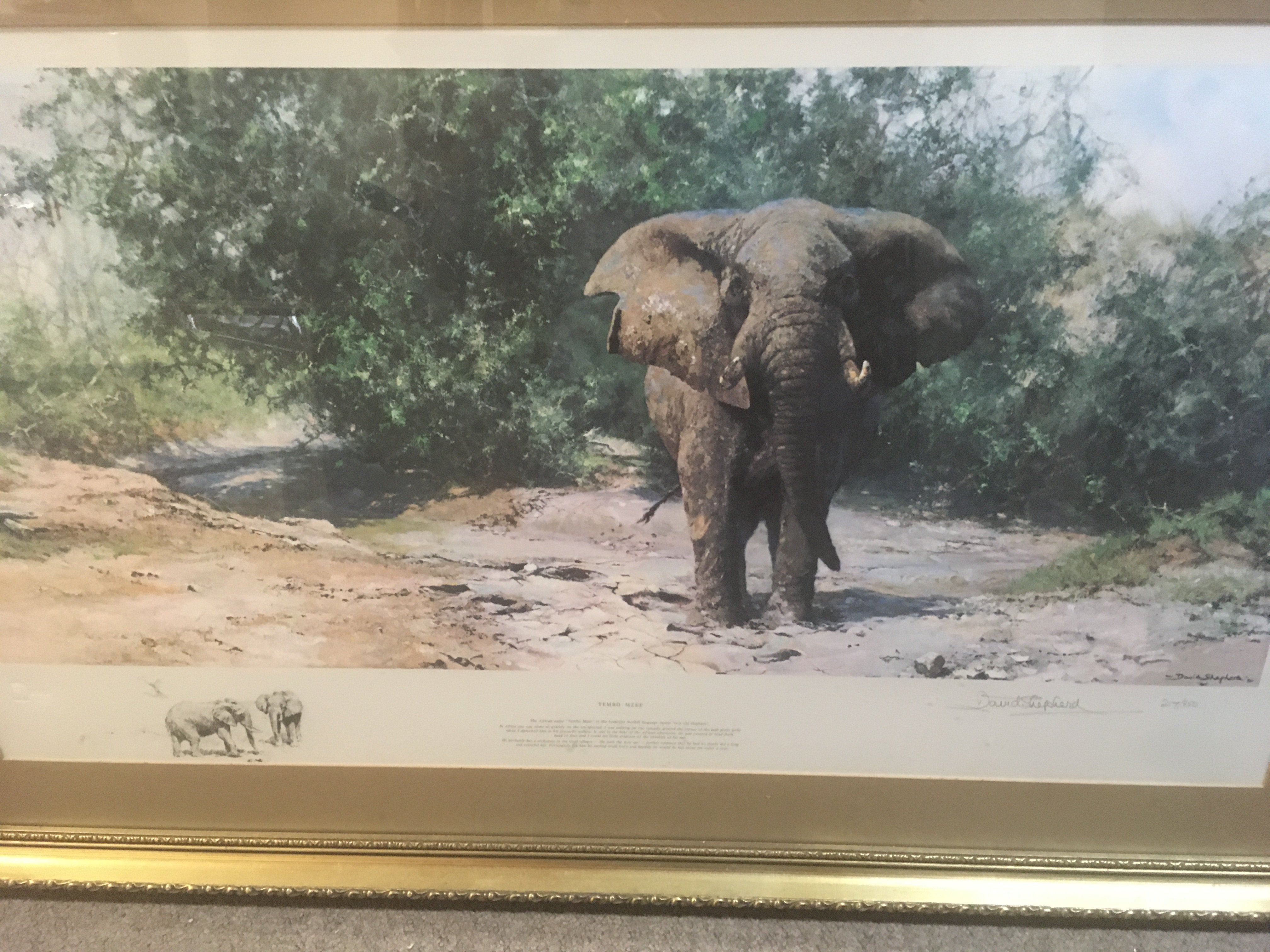 A framed David shepherd print depicting a elephant 100cm x 66 cm .