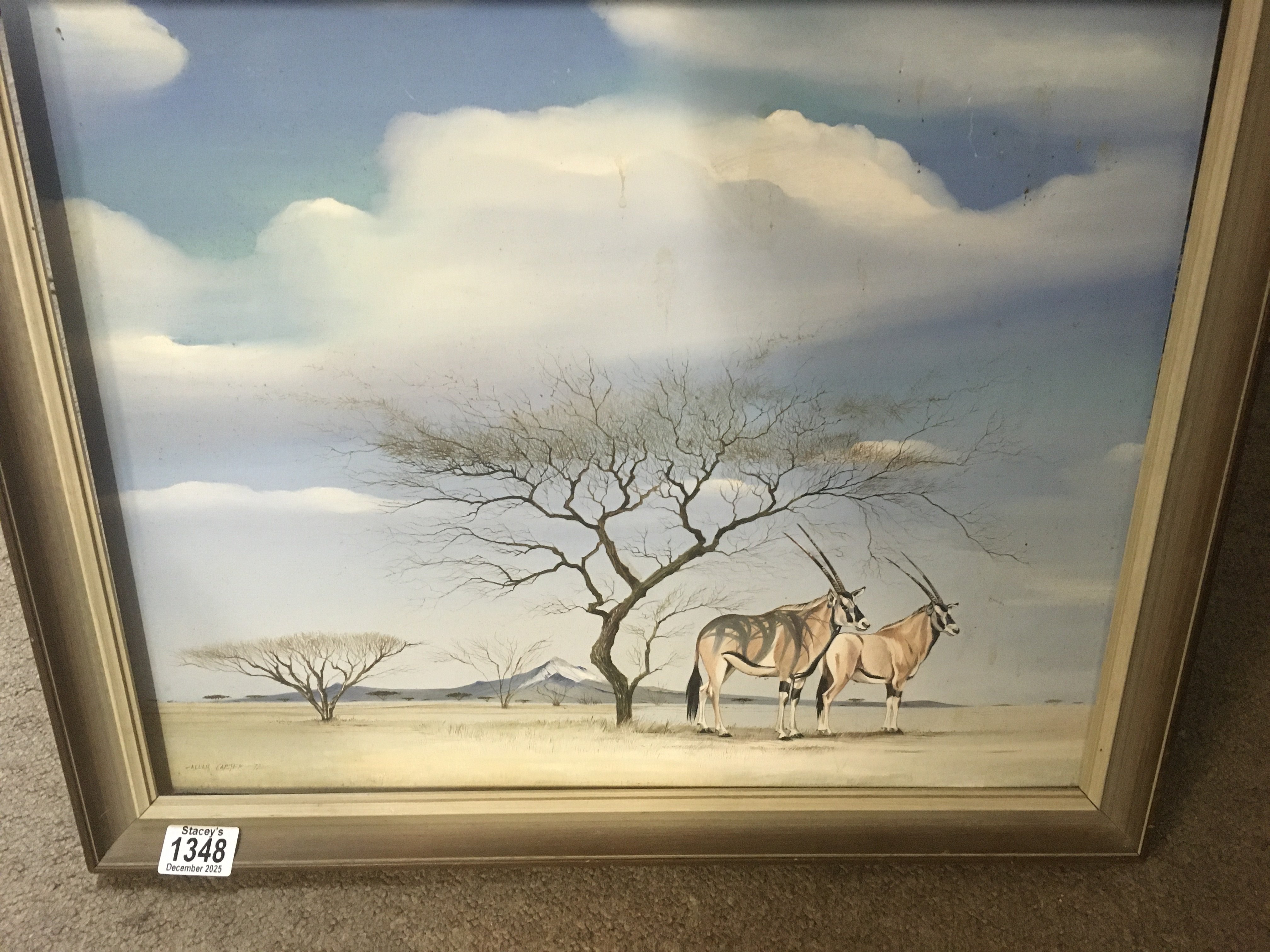 A framed oil on board featuring a springbok signed Allen Carter . 50 x 40 cm .