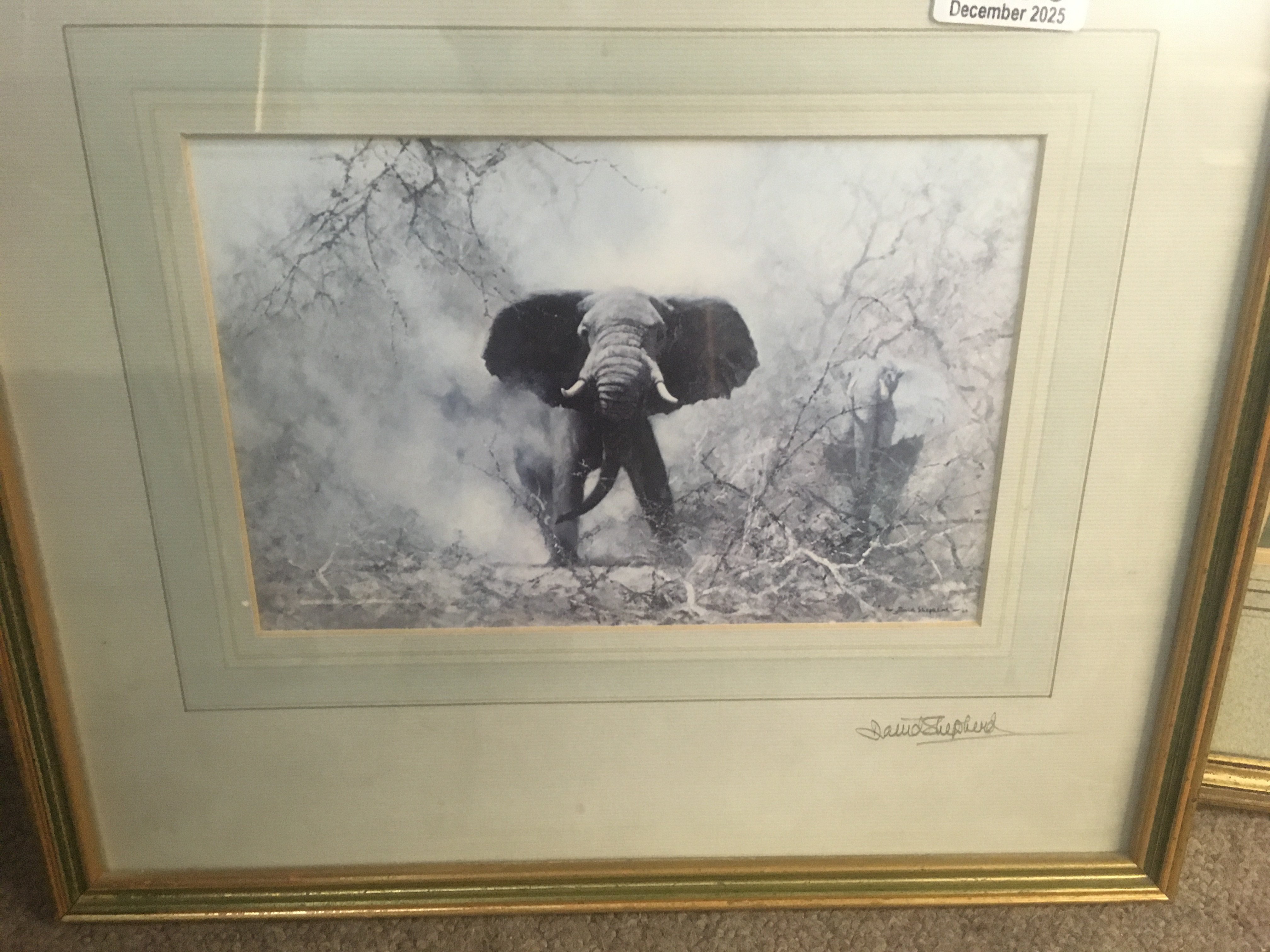 Three framed prints David shepherd, Elphant hippos and elephant.
