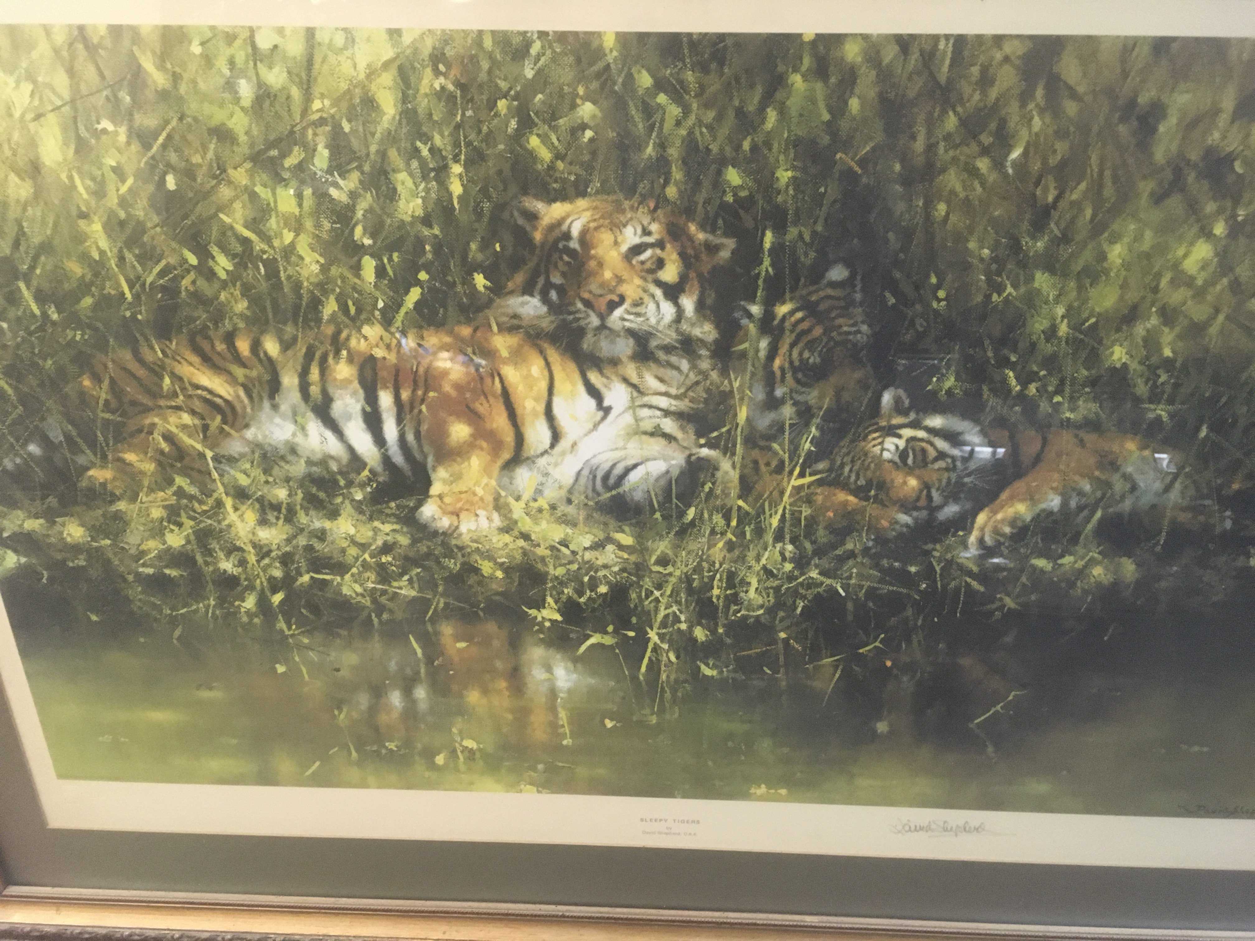 A framed print depicting tigers signed in pencil David Shepherd. 80 x 60 cm