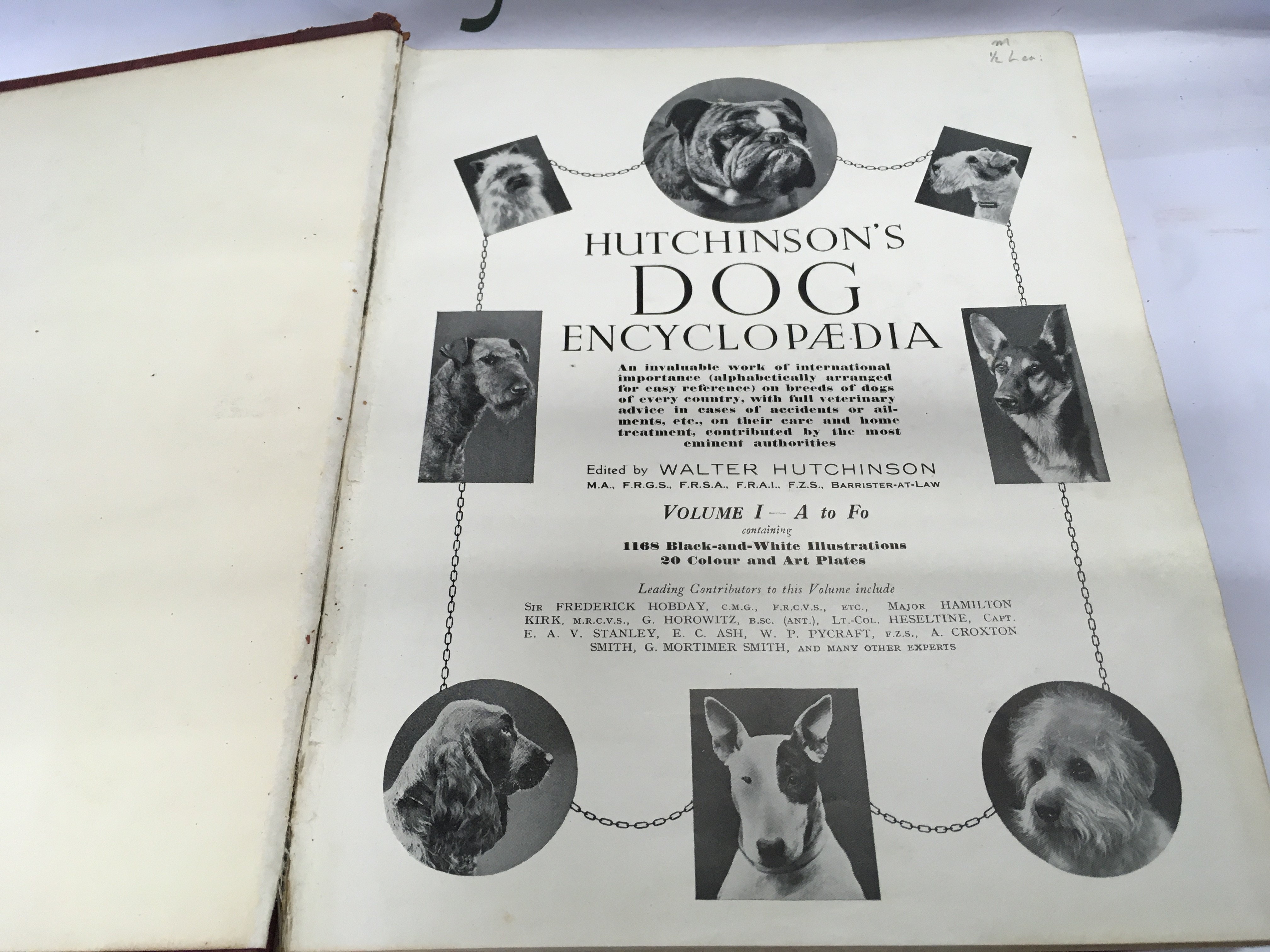 Hutchinson&#2013266057_s popular and illustrated dog encyclopaedia Volume 1 2 and 3. Postage B. NO RESERVE