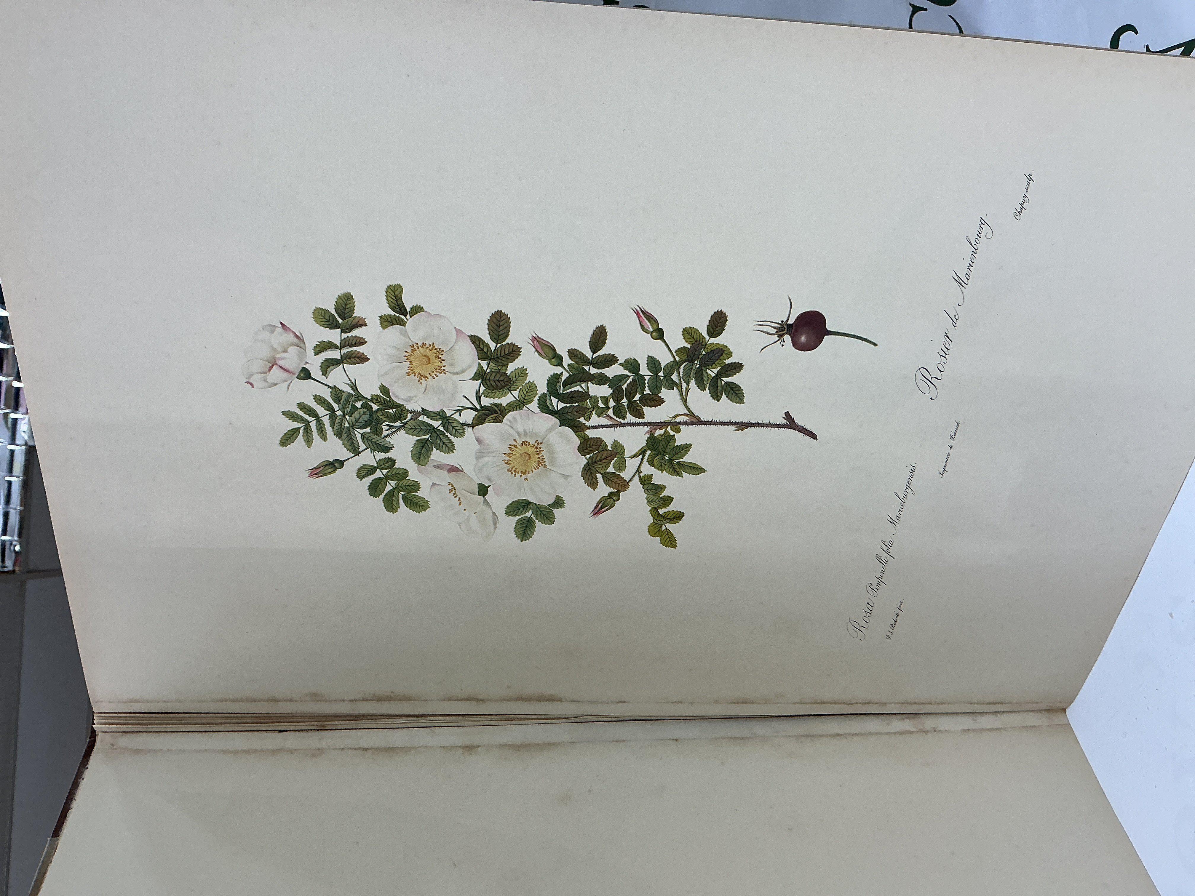 Album de redoute by Sitwell and Roger Madol.