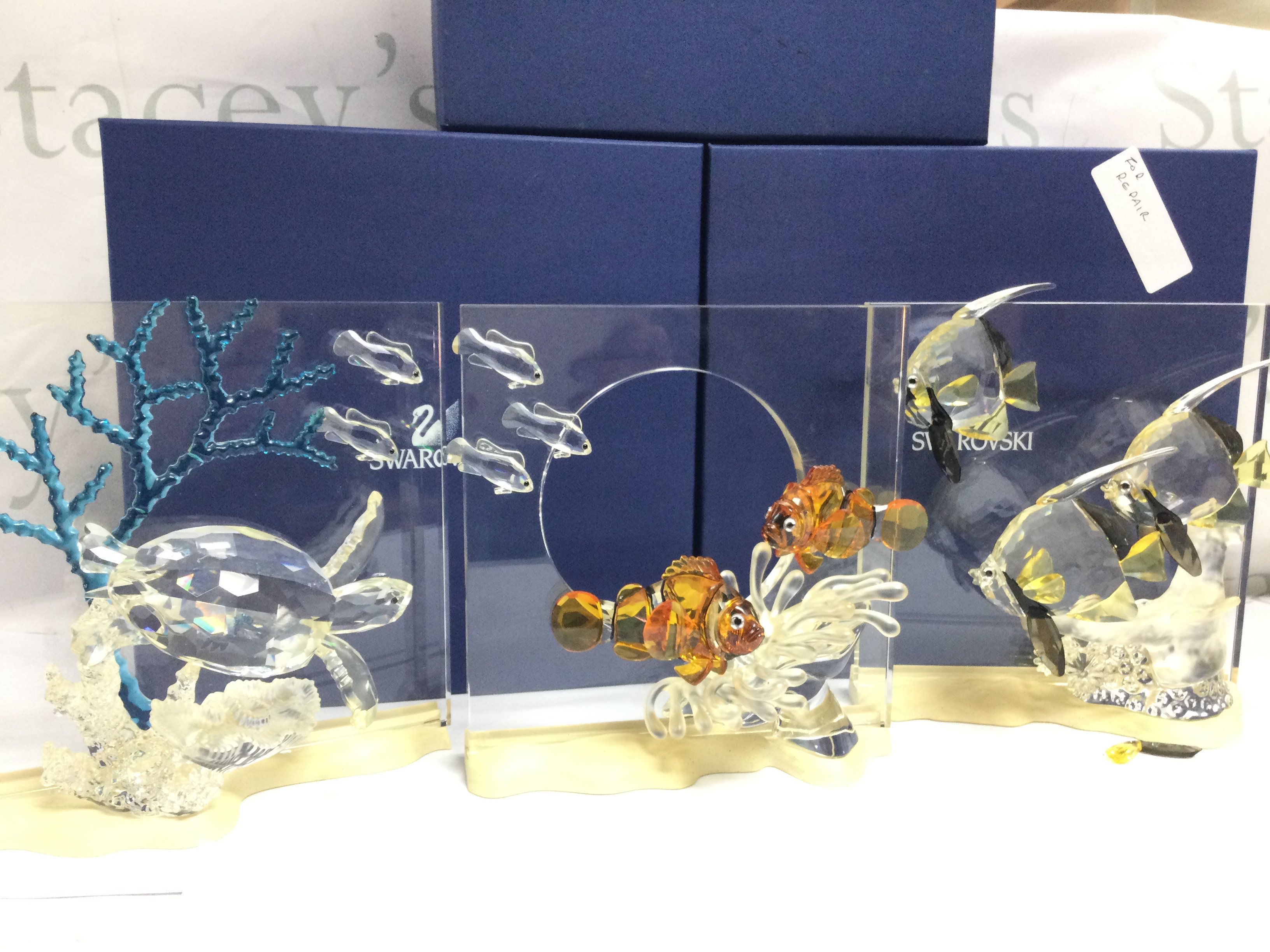 A collection of boxed Swarovski crystal glass Wonders of the Sea figures including turtles, clown fish, angel fish ( Fins need regluing) no back drops. This lot cannot be posted