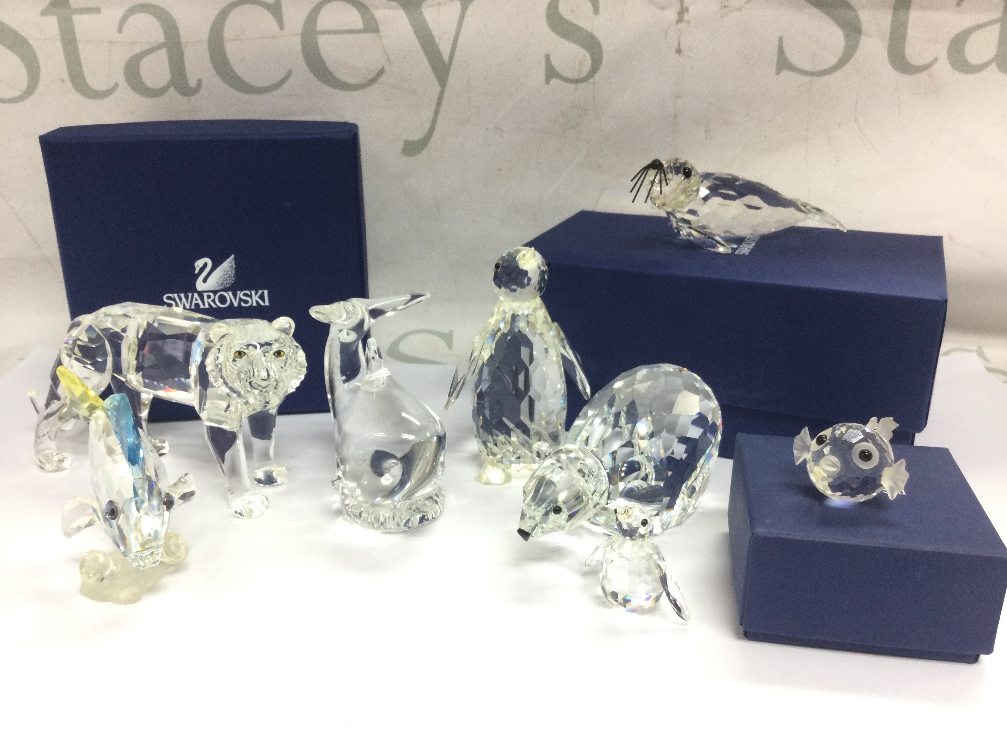 A collection of Swarovski crystal glass figures including Blue Tang fish, Tiger, Polar bear, Seal etc. some boxed . This lot cannot be posted