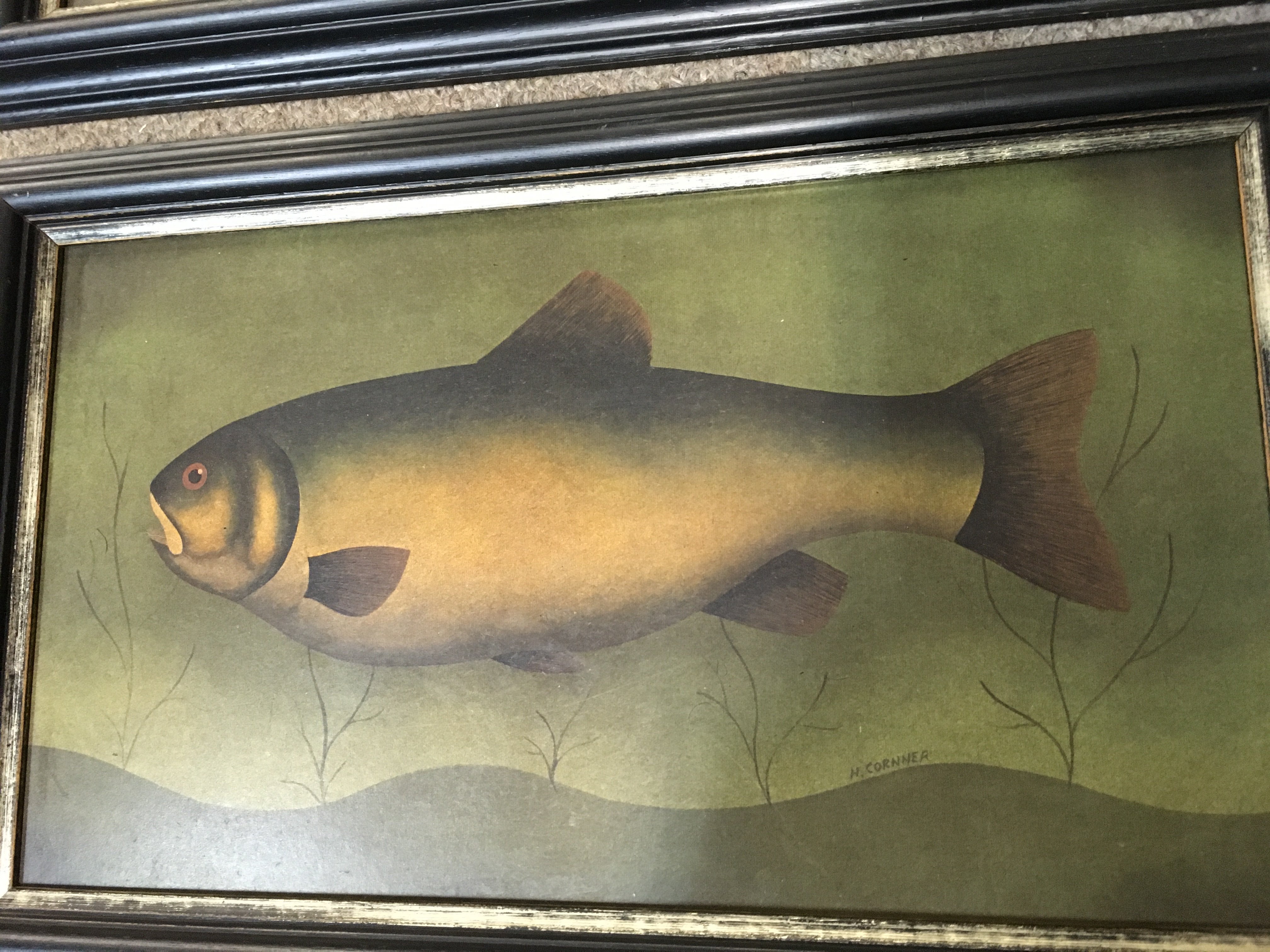 A collection of fish pictures by H.Cornner frame sizes 36x22cm and prints . Postage catB. NO RESERVE