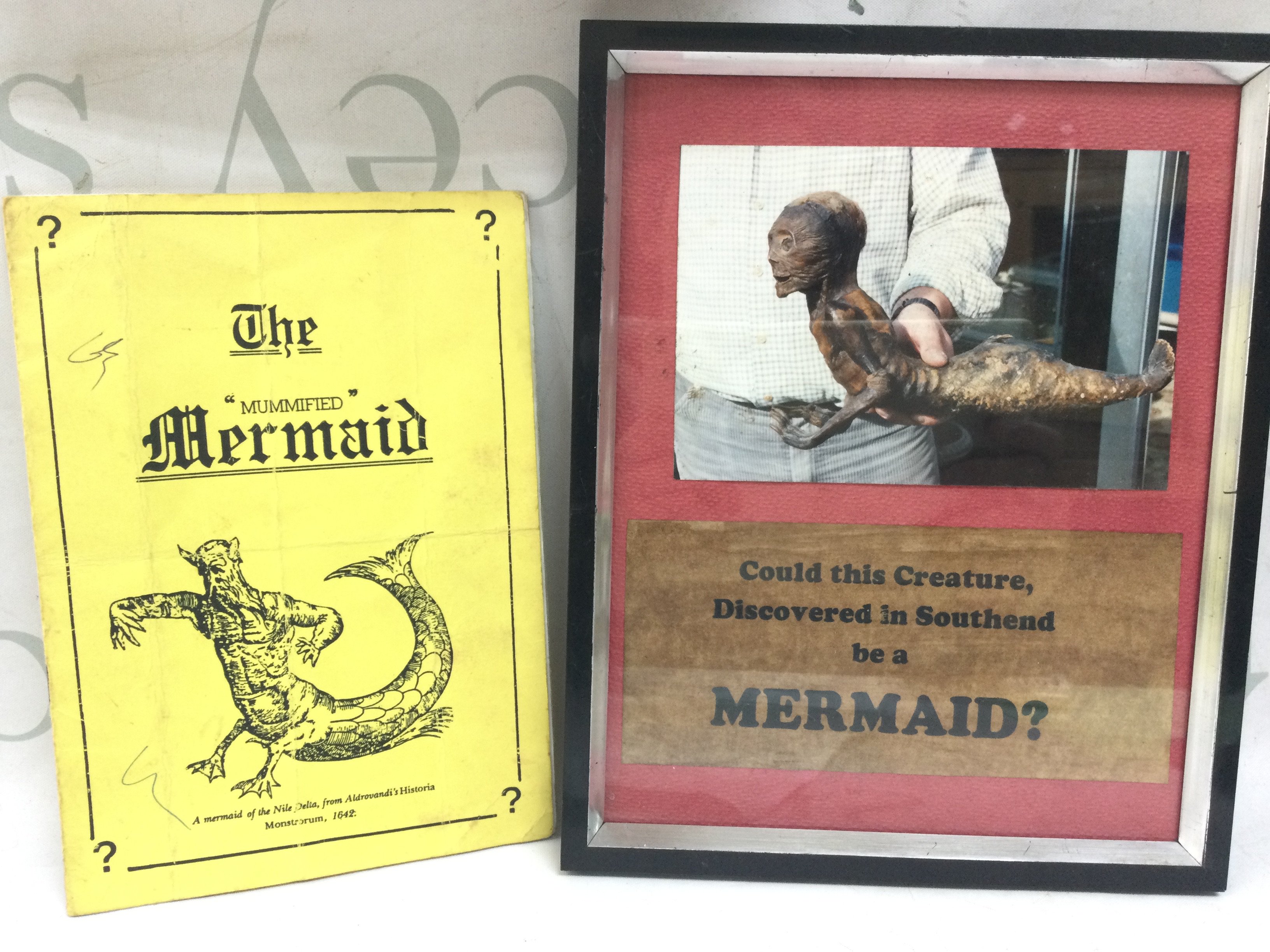 An Unsual framed photo of possible Southend mermaid and booklet on details