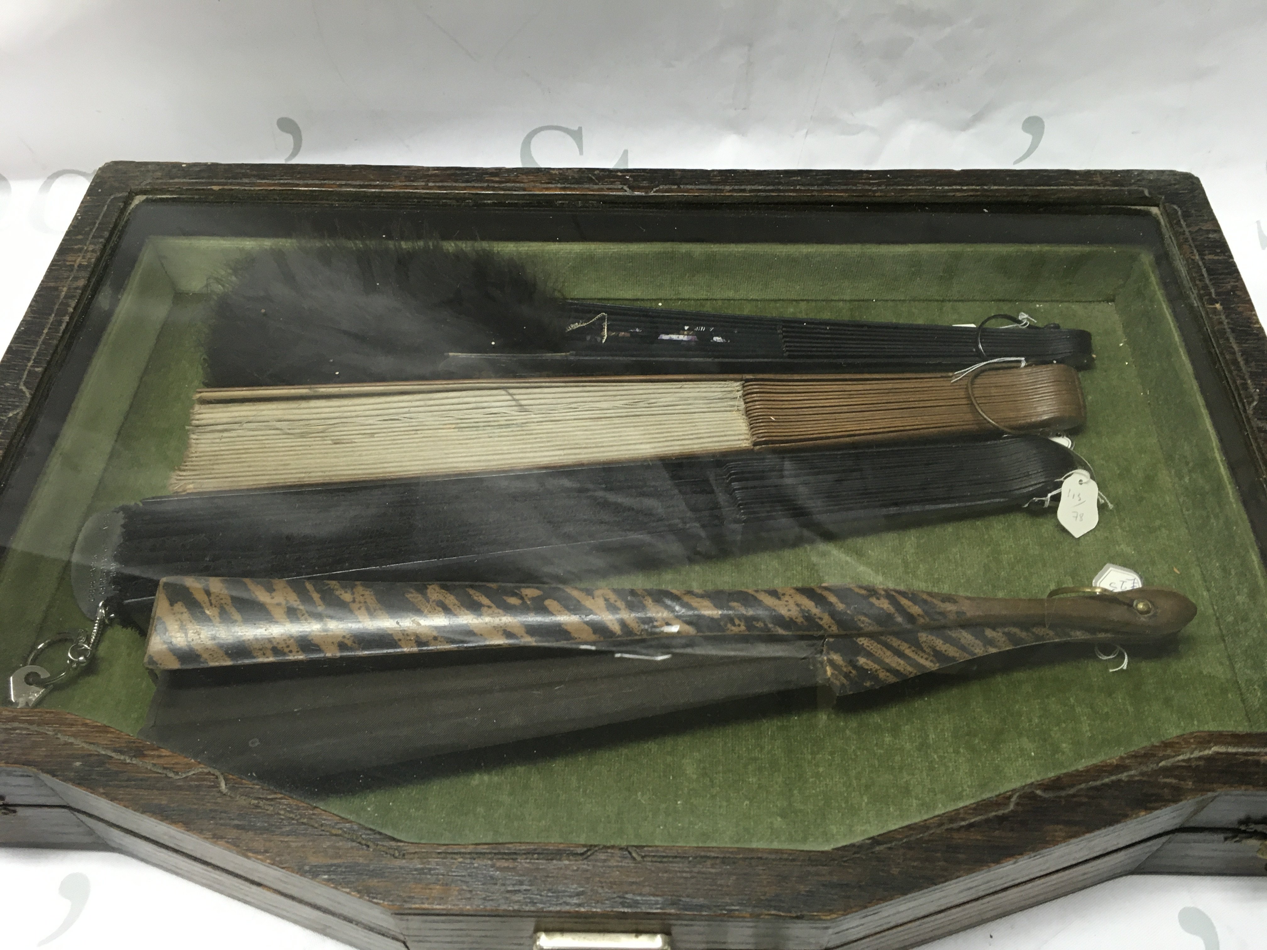 A Collection of fans of various designs with a collectors cabinet (45cm wide) . This lot cannot be posted