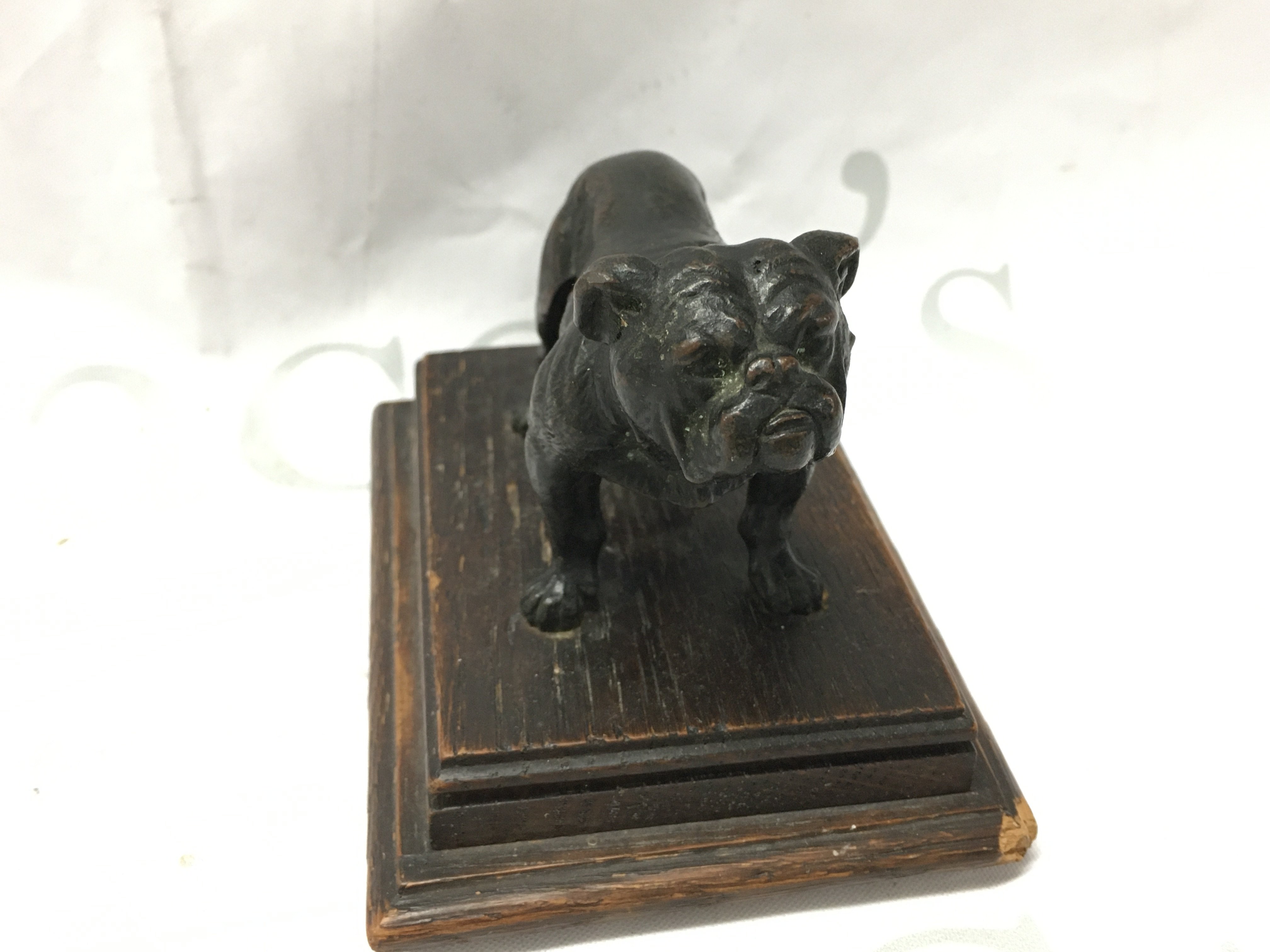 A small 19th century bronze figure of a bulldog , 8cm tall. Postage category A