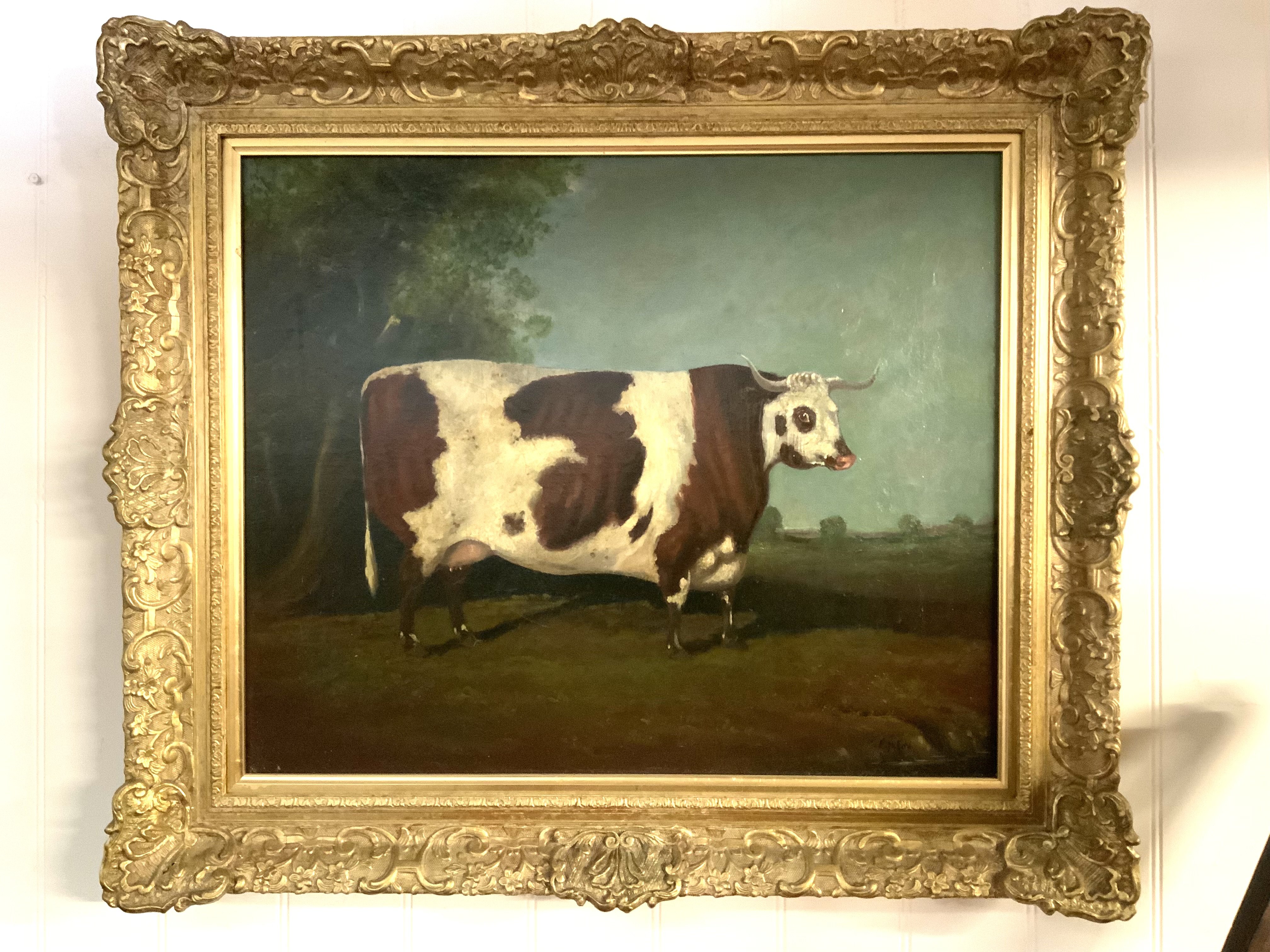 Prize Cow in Landscape. Oil on canvas, Gilt framed. 67cm x 77cm