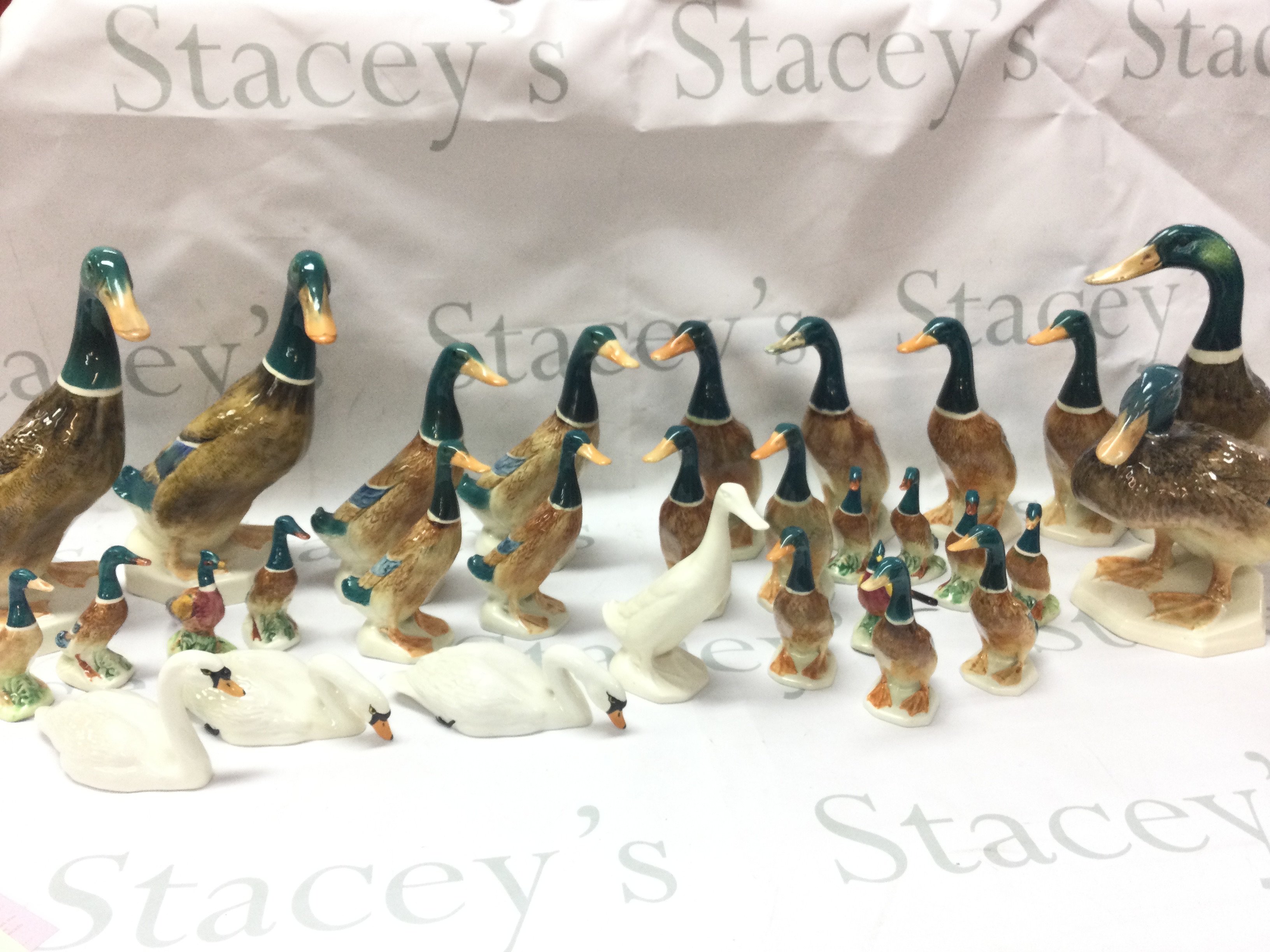 A large collection of Beswick and other duck and swan figures . Also including a boxed Wedgwood waiting for The Times plate and a boxed Coalport the times mug. No obvious damage or restoration This lot cannot be posted