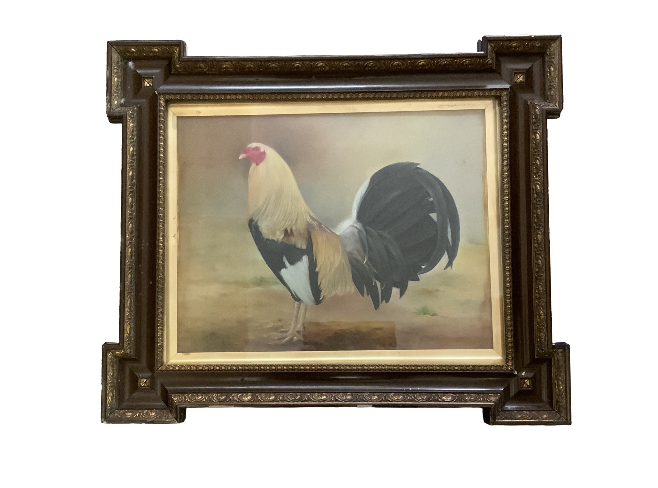 A Framed early 20th Century oil painting study of an old English coverall. 71cm x 60cm.