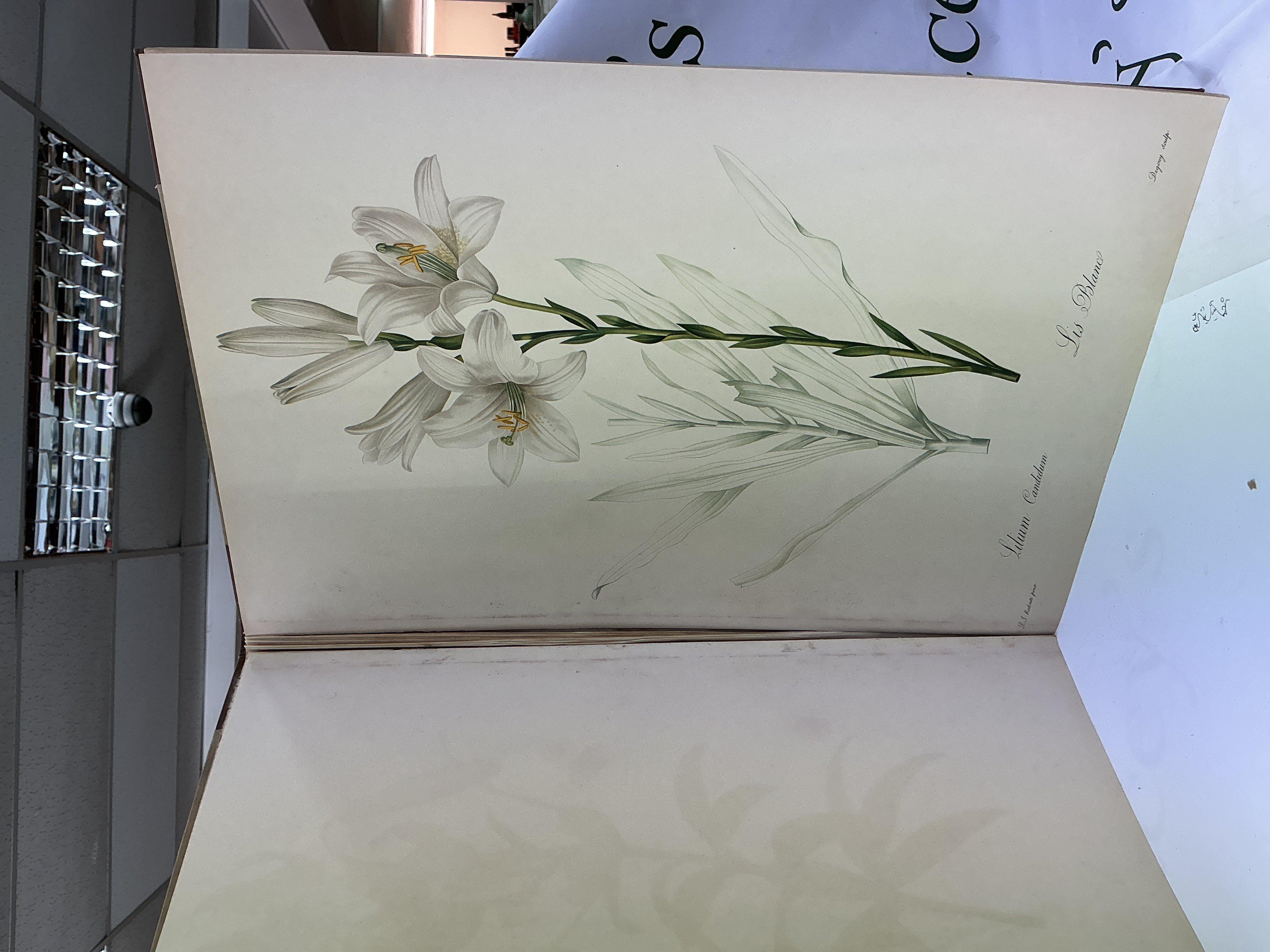 Album de redoute by Sitwell and Roger Madol.