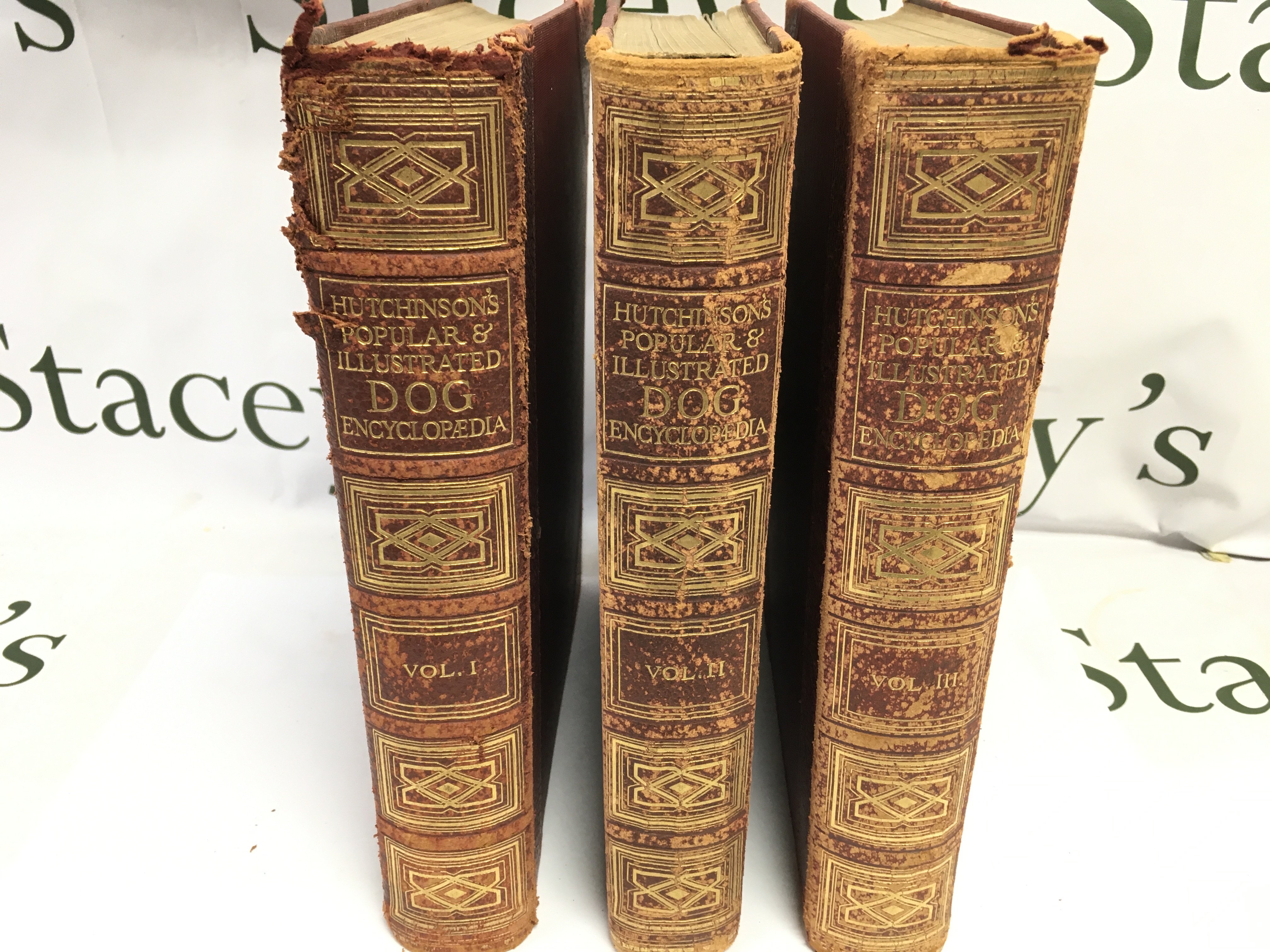 Hutchinson&#2013266057۪s popular and illustrated dog encyclopaedia Volume 1 2 and 3. Postage B